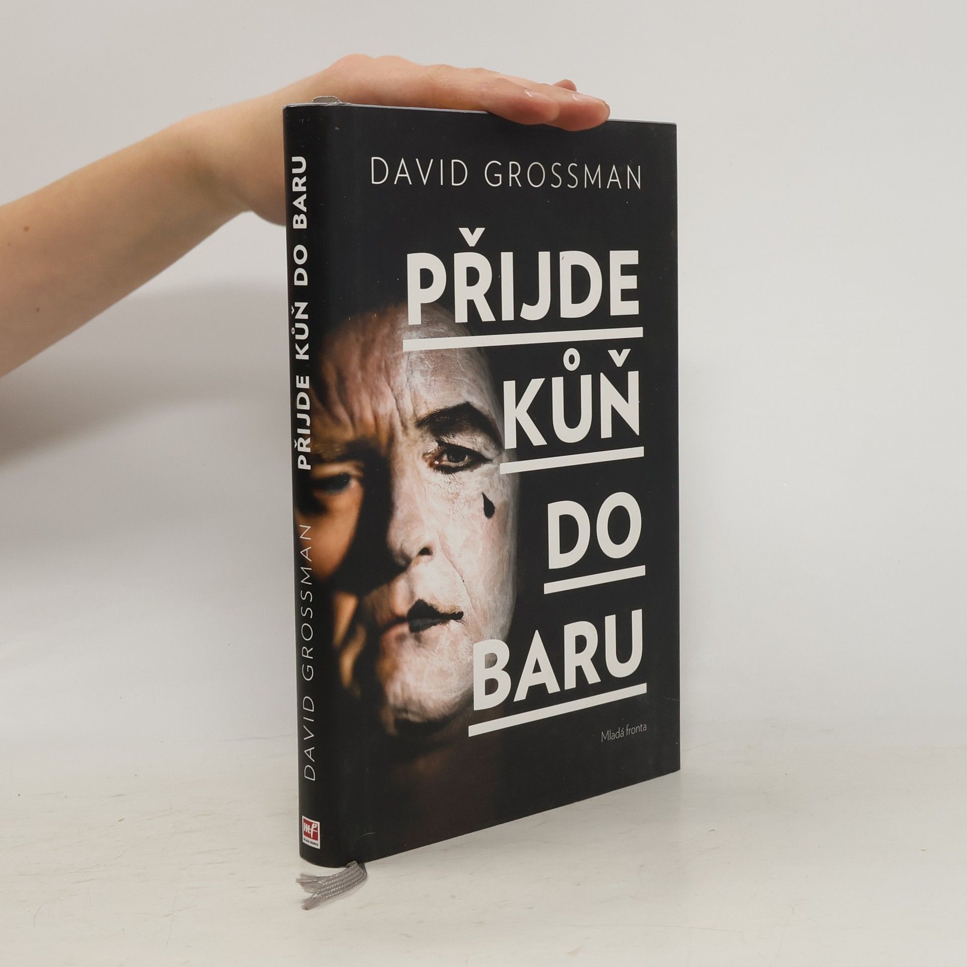 David Grossman Přijde kůň do baru