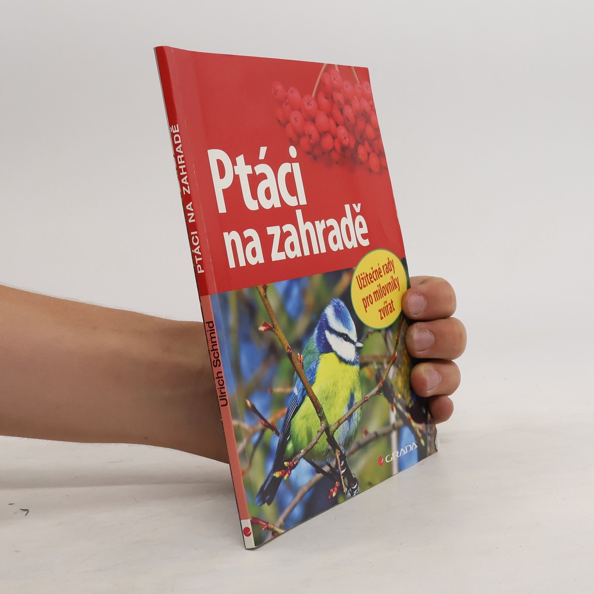 Ulrich Schmid Ptáci na zahradě. Užitečné rady pro milovníky přírody