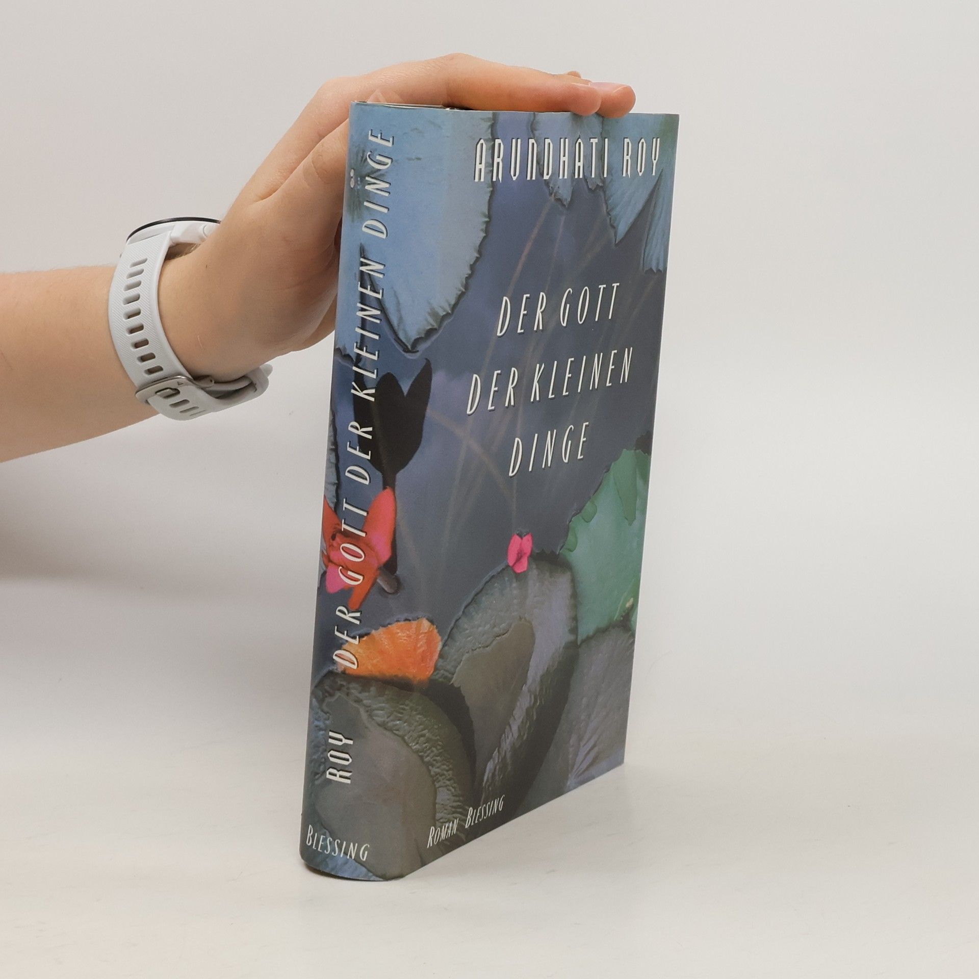 Arundhati Roy Der Gott der Kleinen Dinge
