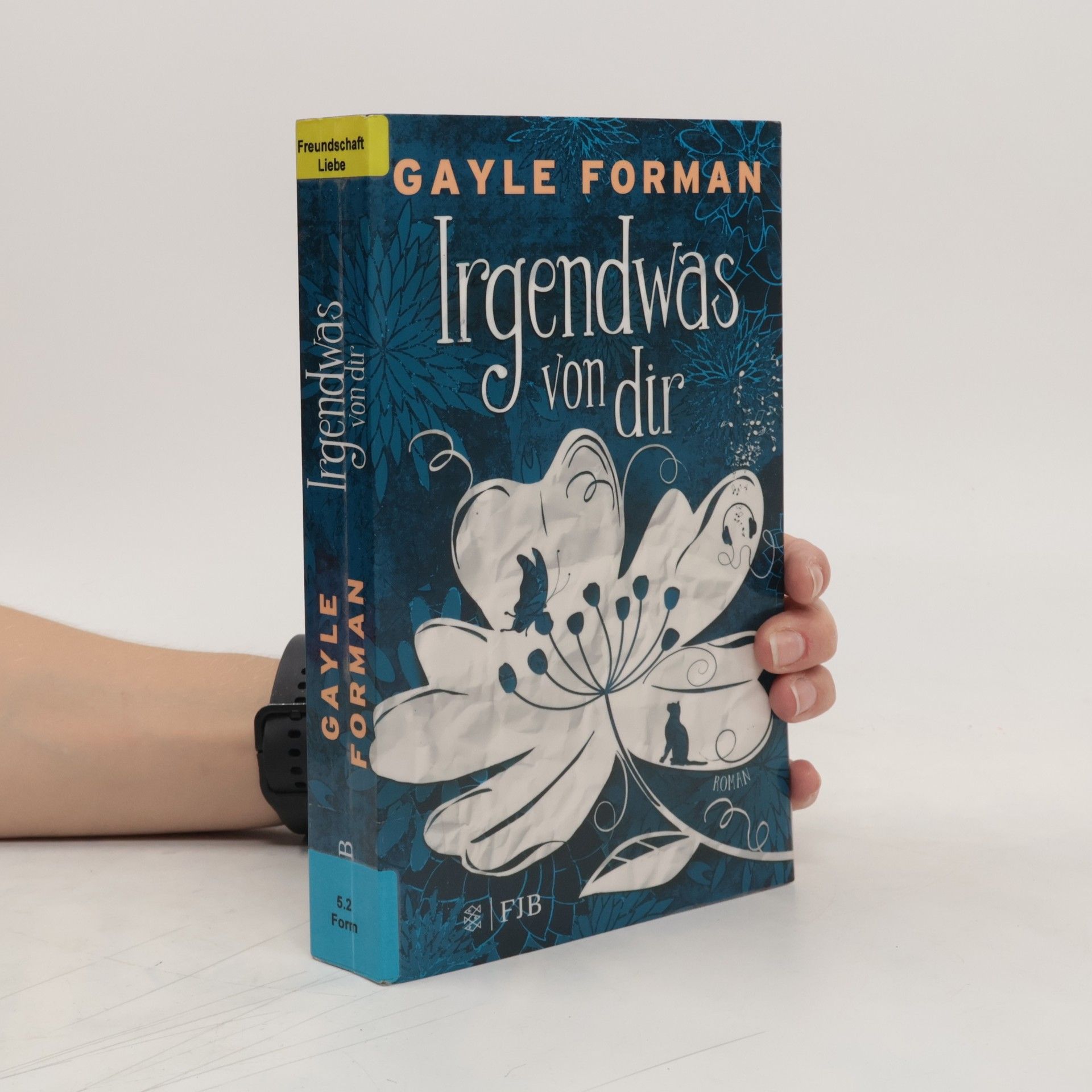 Gayle Forman Irgendwas von dir