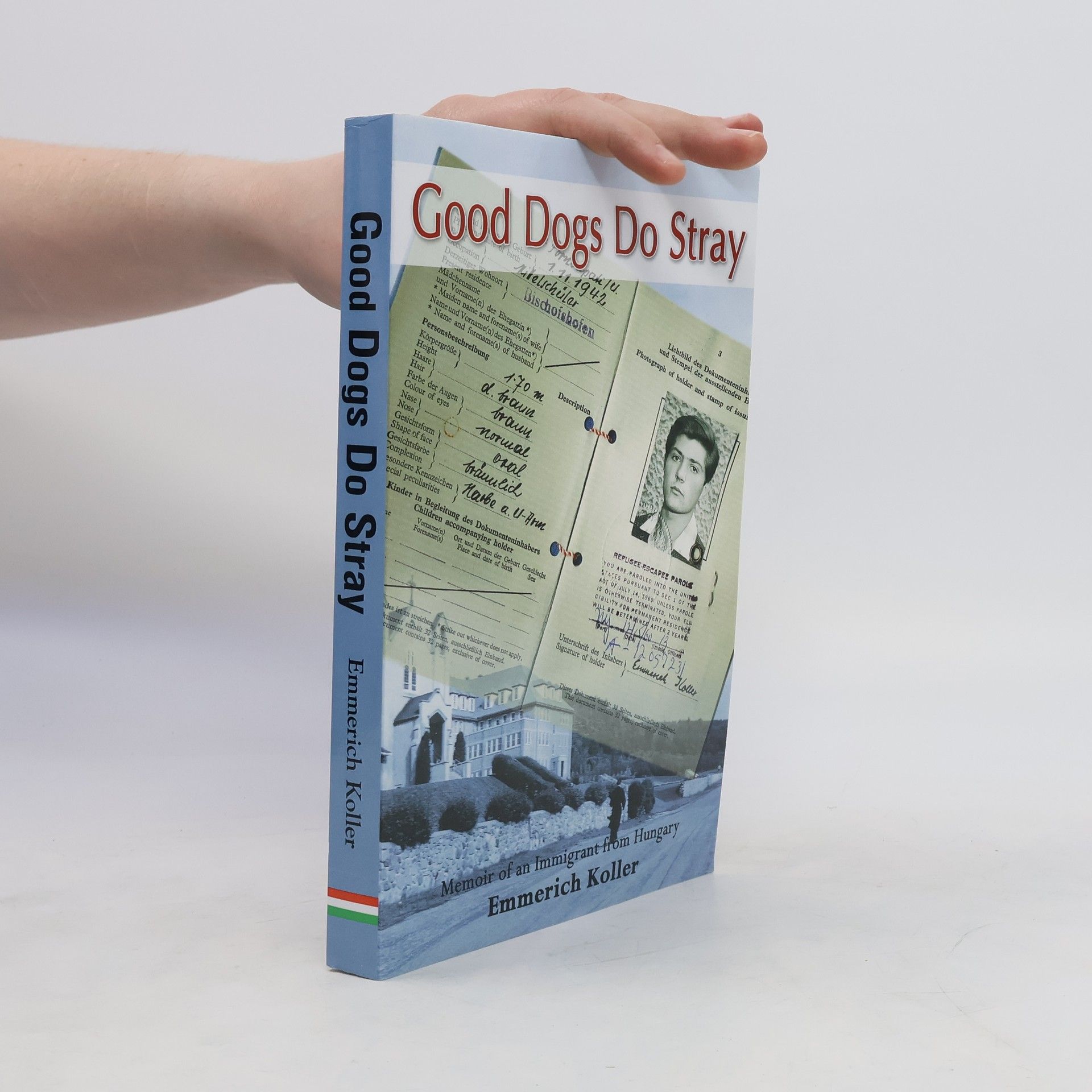 Emmerich Koller Good Dogs Do Stray