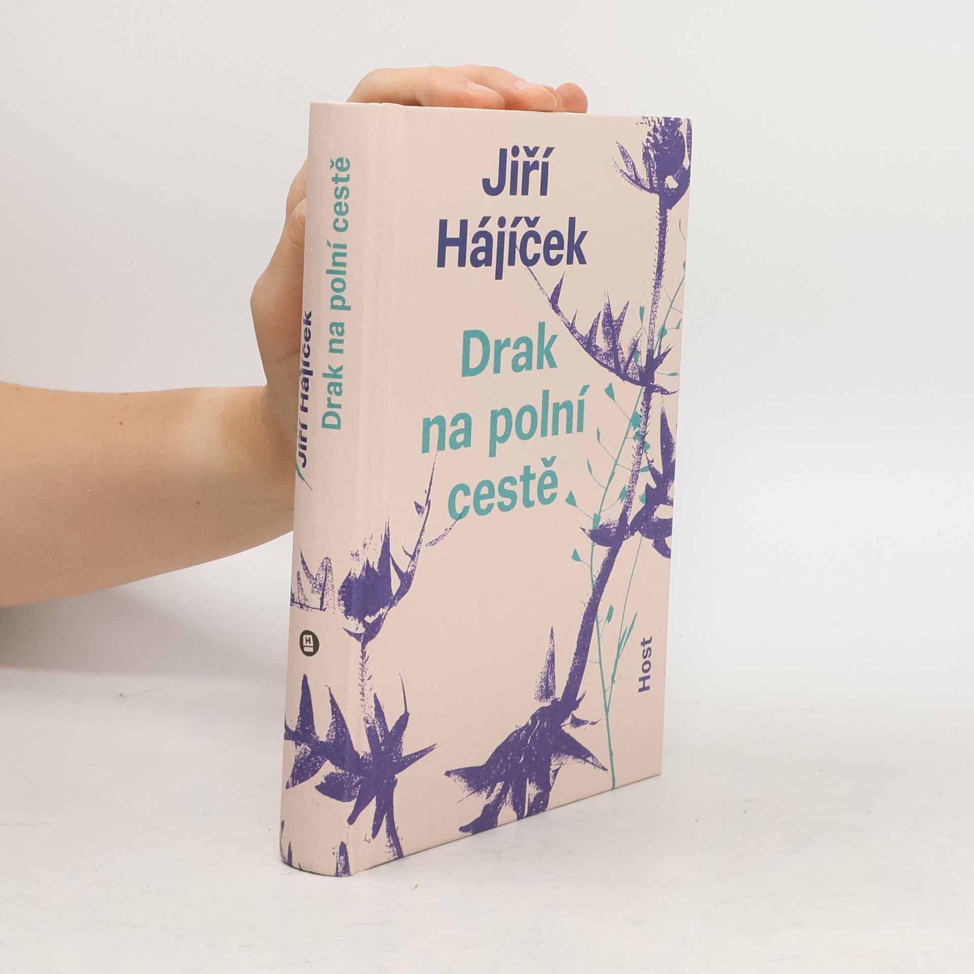 Jiří Hájíček Drak na polní cestě