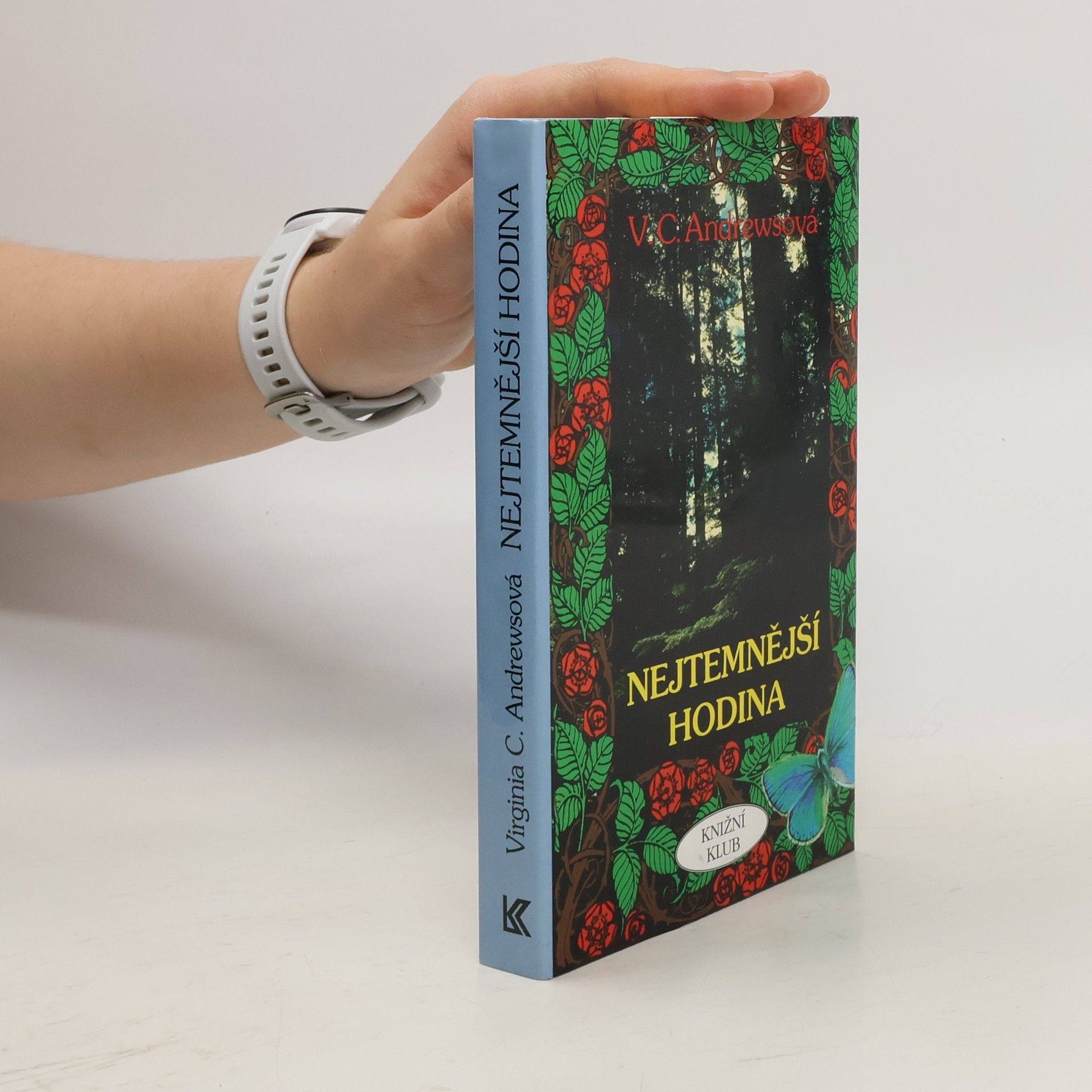 V. C. Andrews Nejtemnější hodina