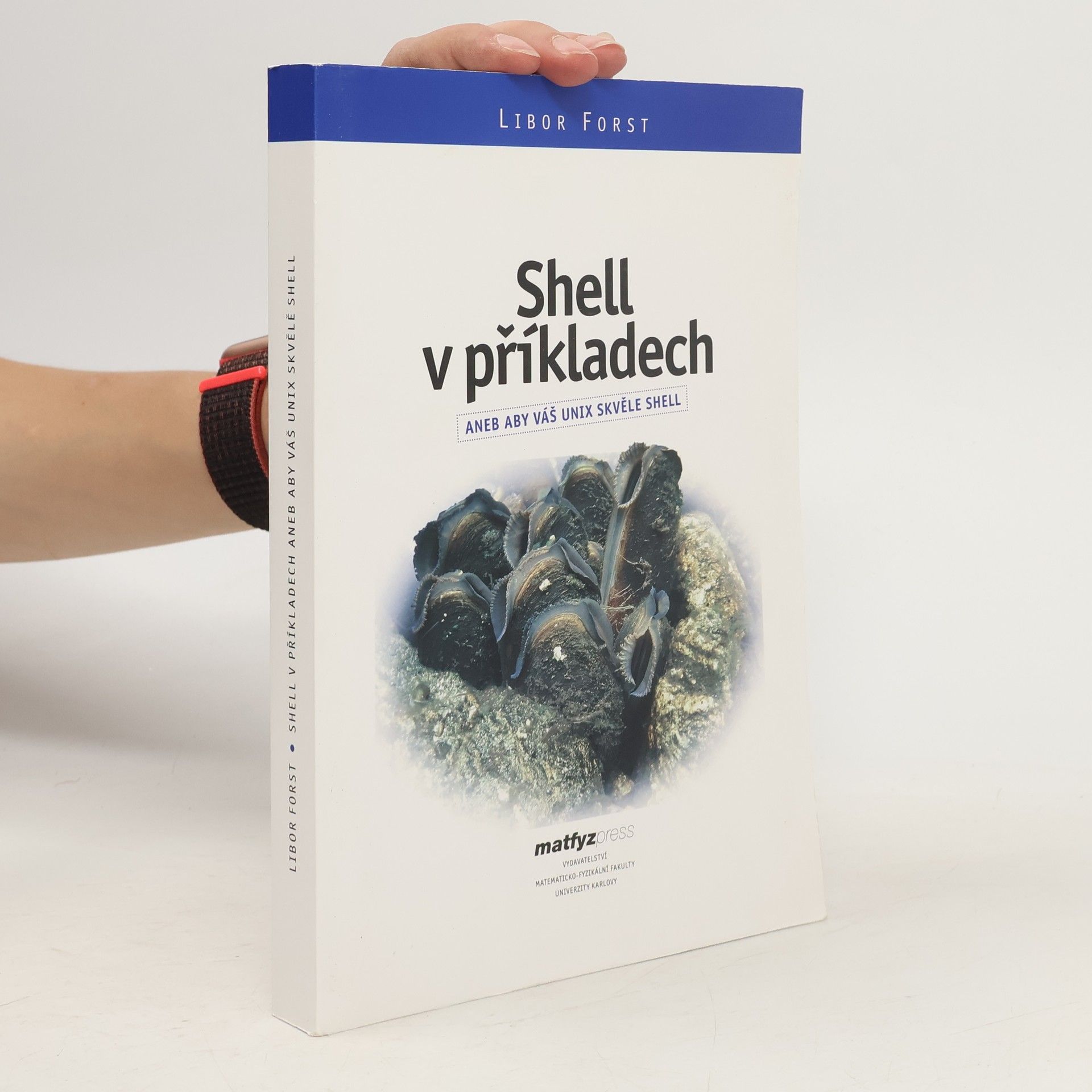 Libor Forst Shell v příkladech aneb Aby váš UNIX skvěle Shell