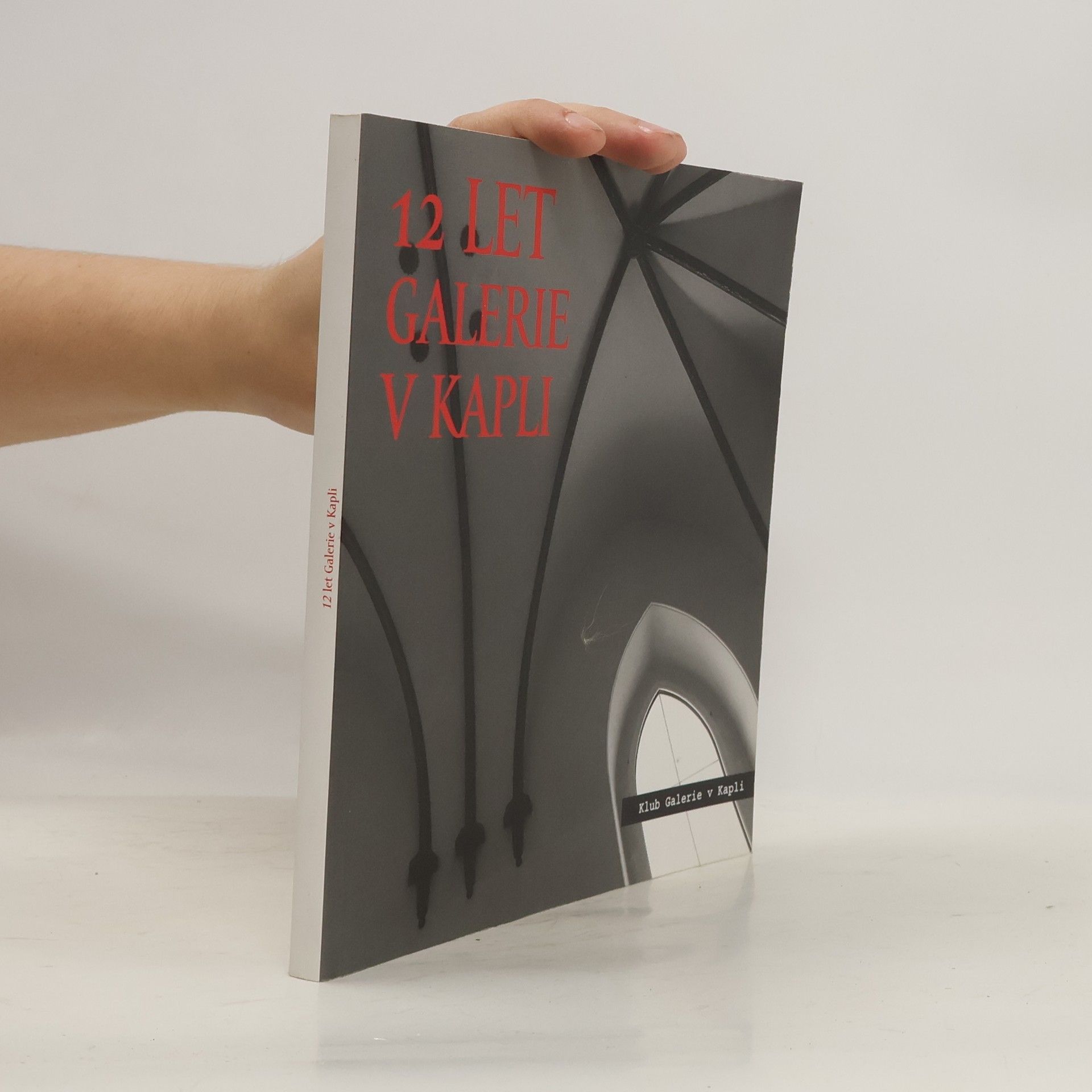 Jindřich Štreit 12 let Galerie v Kapli