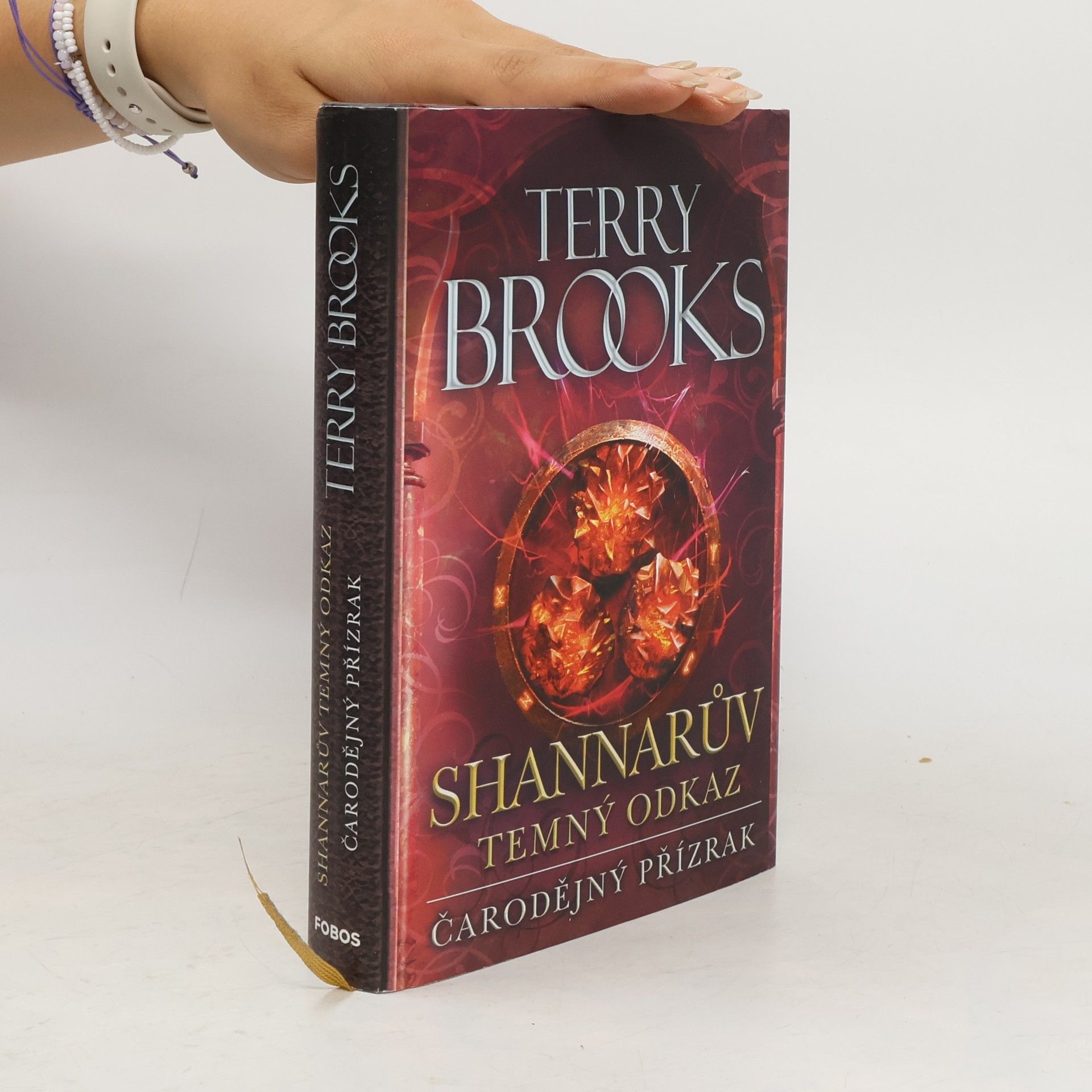 Terry Brooks Čarodějný přízrak