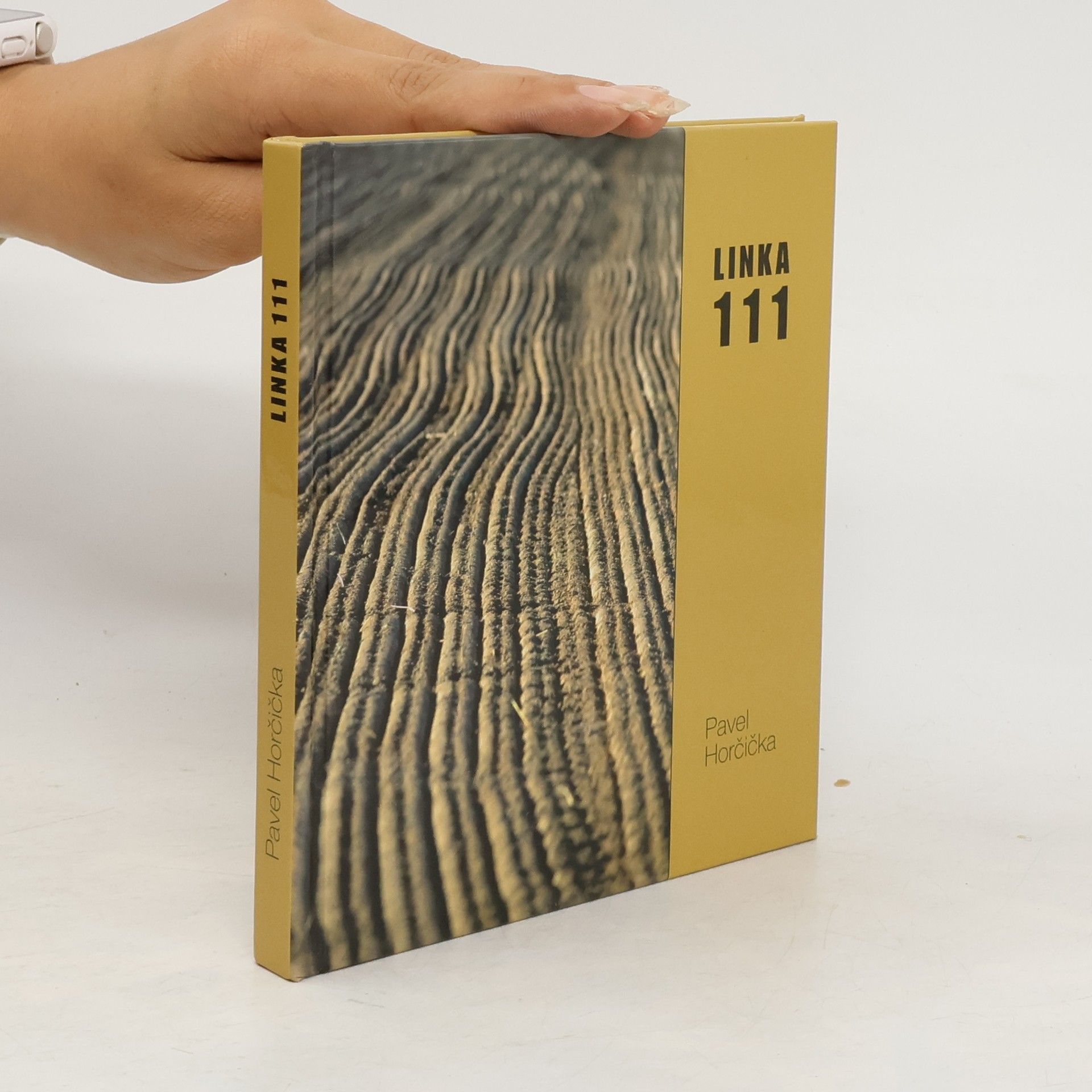 Pavel Horčička Linka 111
