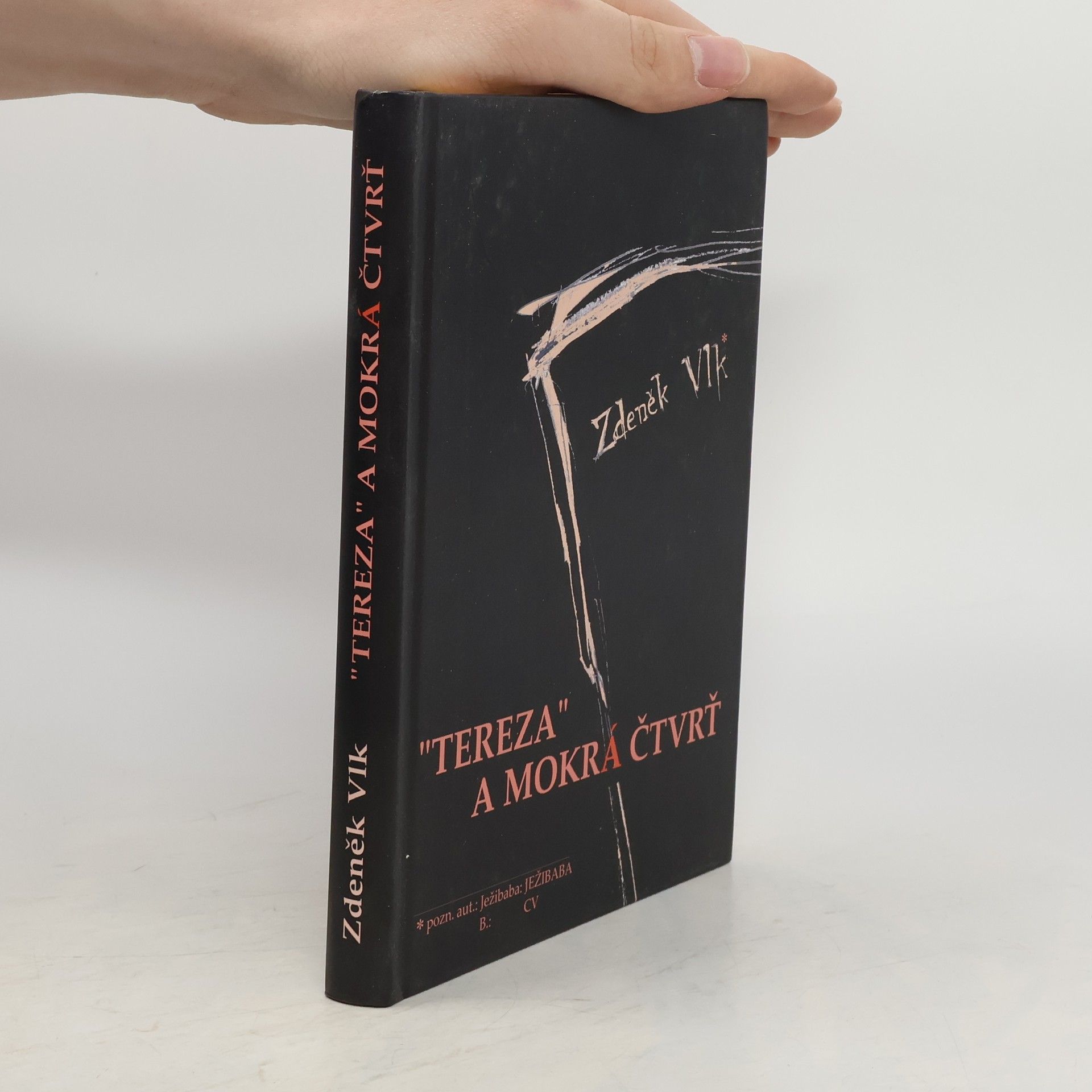 Zdeněk Vlk "Tereza" a Mokrá čtvrť