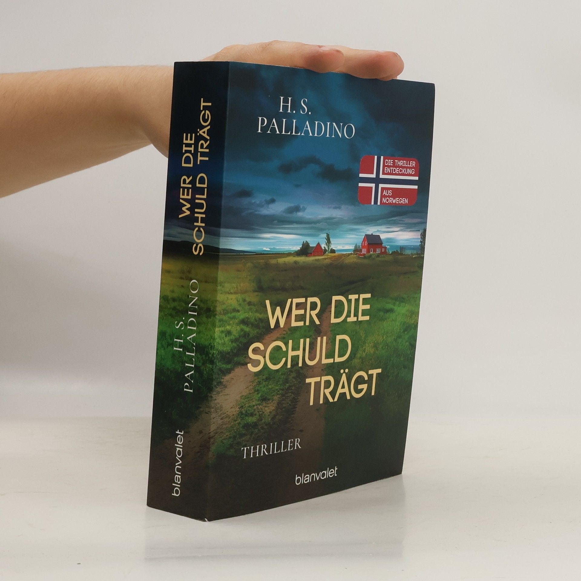 H.S. Palladino Wer die Schuld trägt