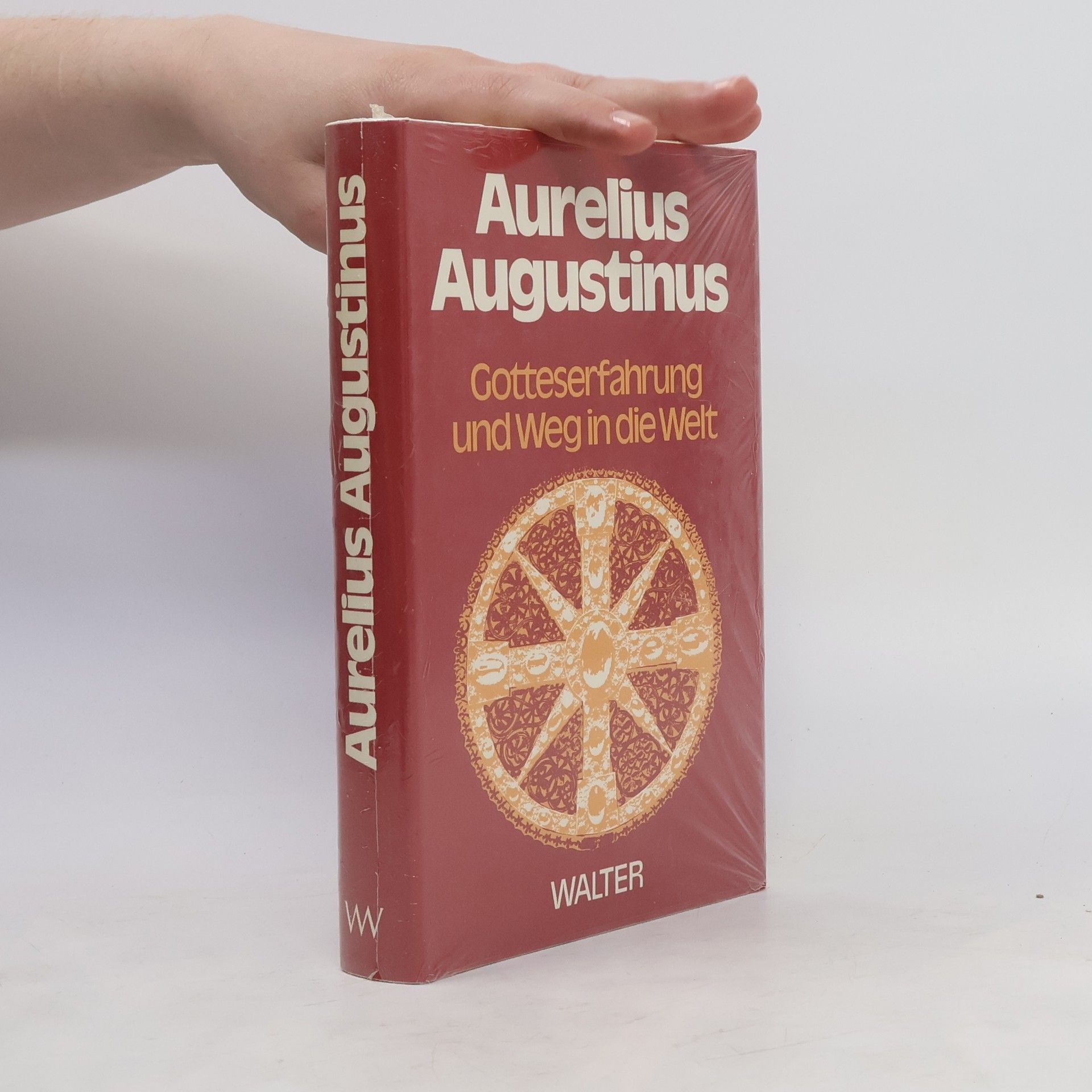 Augustin Gotteserfahrung und Weg in die Welt