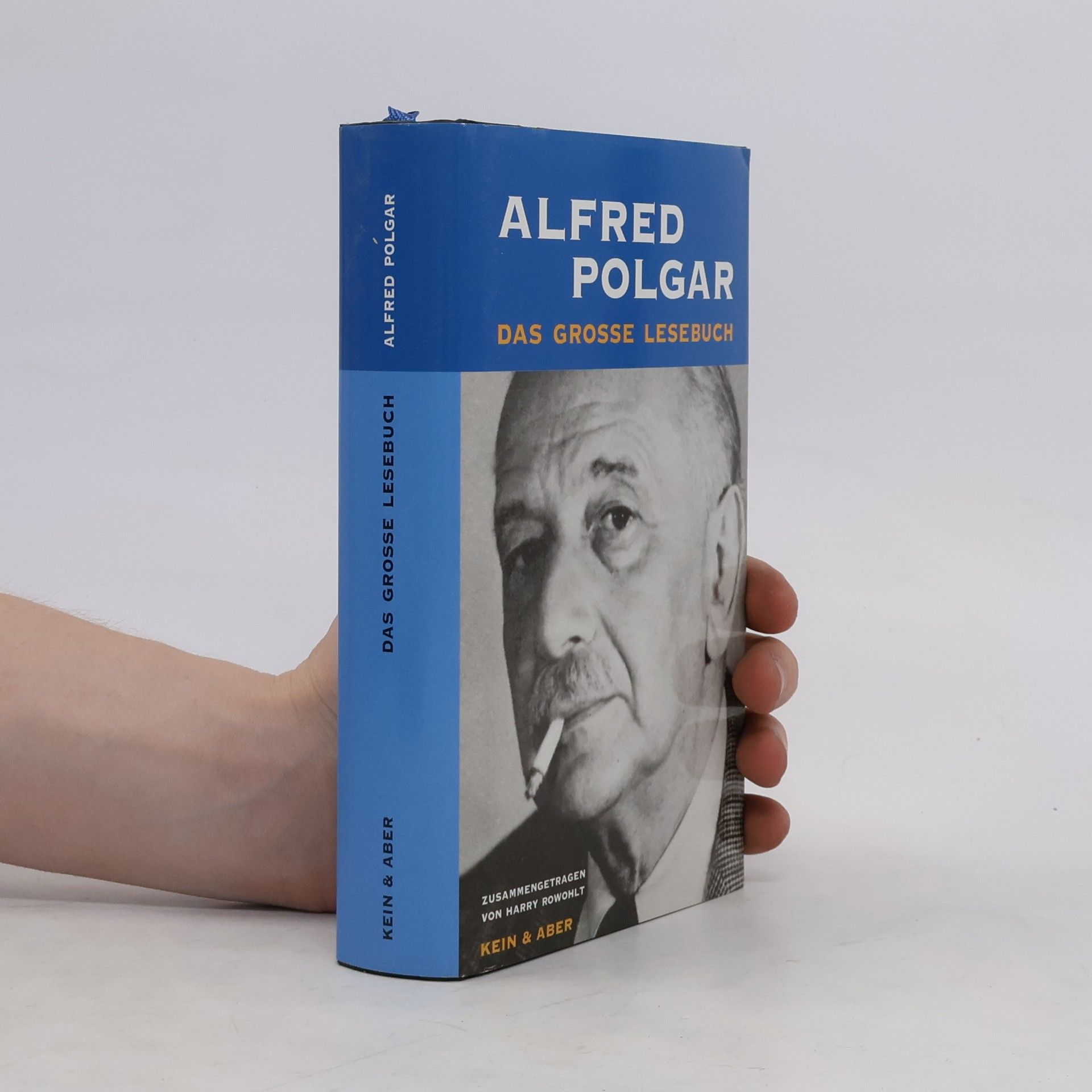 Alfred Polgar Das große Lesebuch