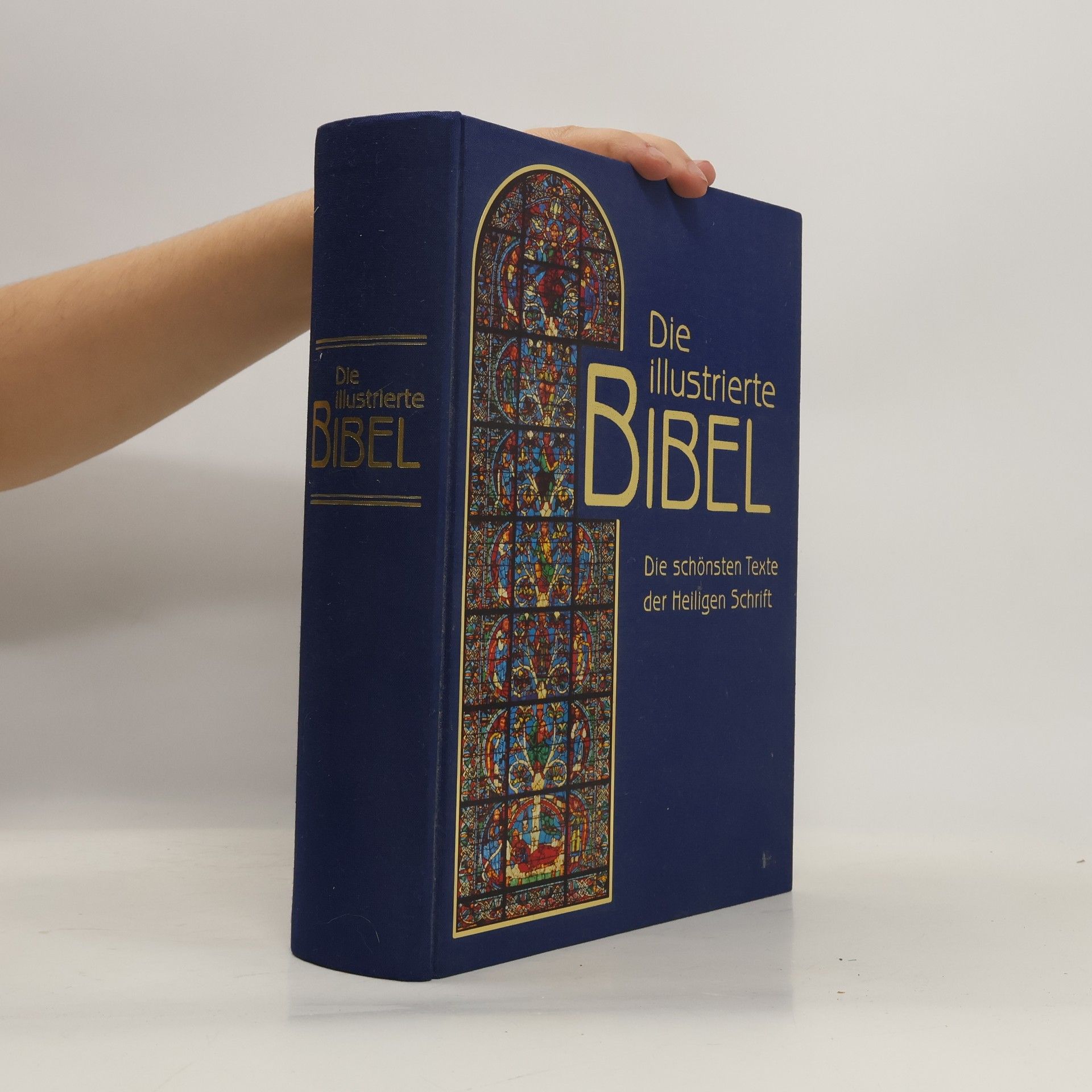 Falko Spiller Die illustrierte Bibel