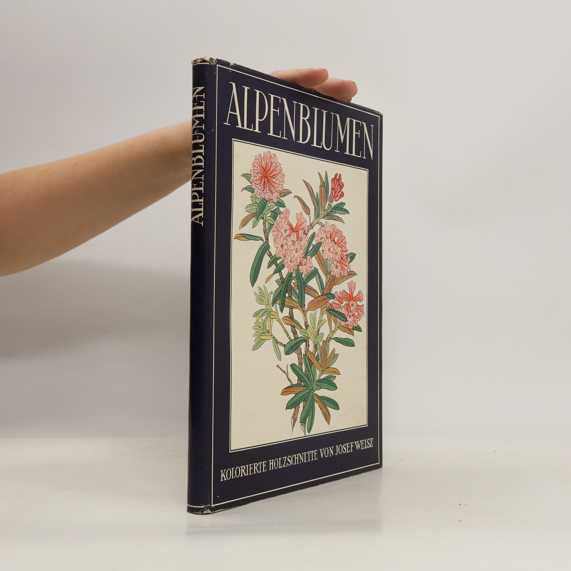 Josef Wiesz Alpenblumen