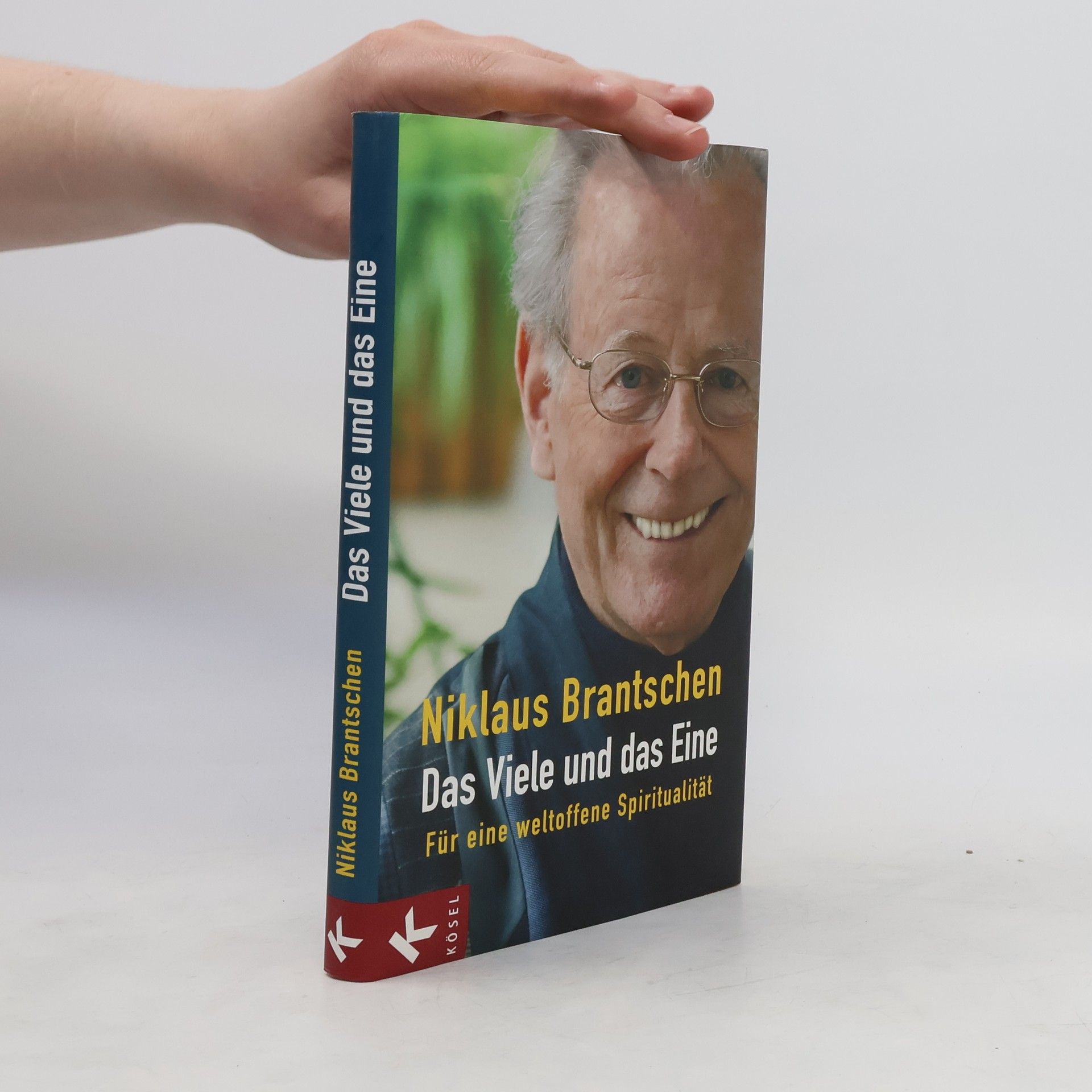 Niklaus Brantschen Das Viele und das Eine