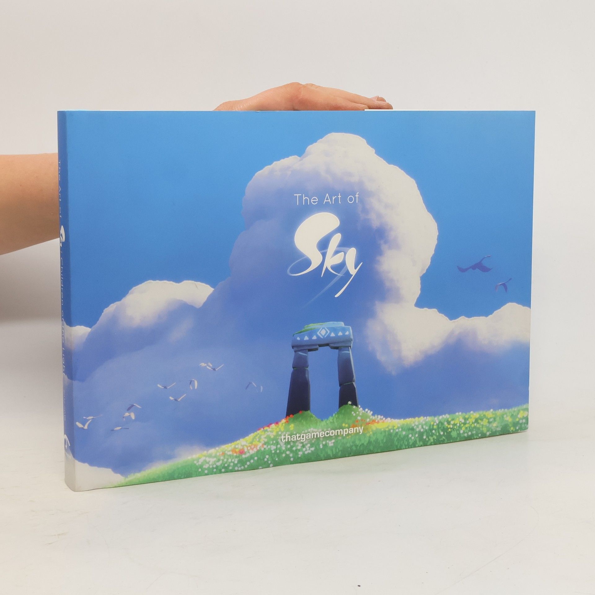 kolektiv The Art of Sky
