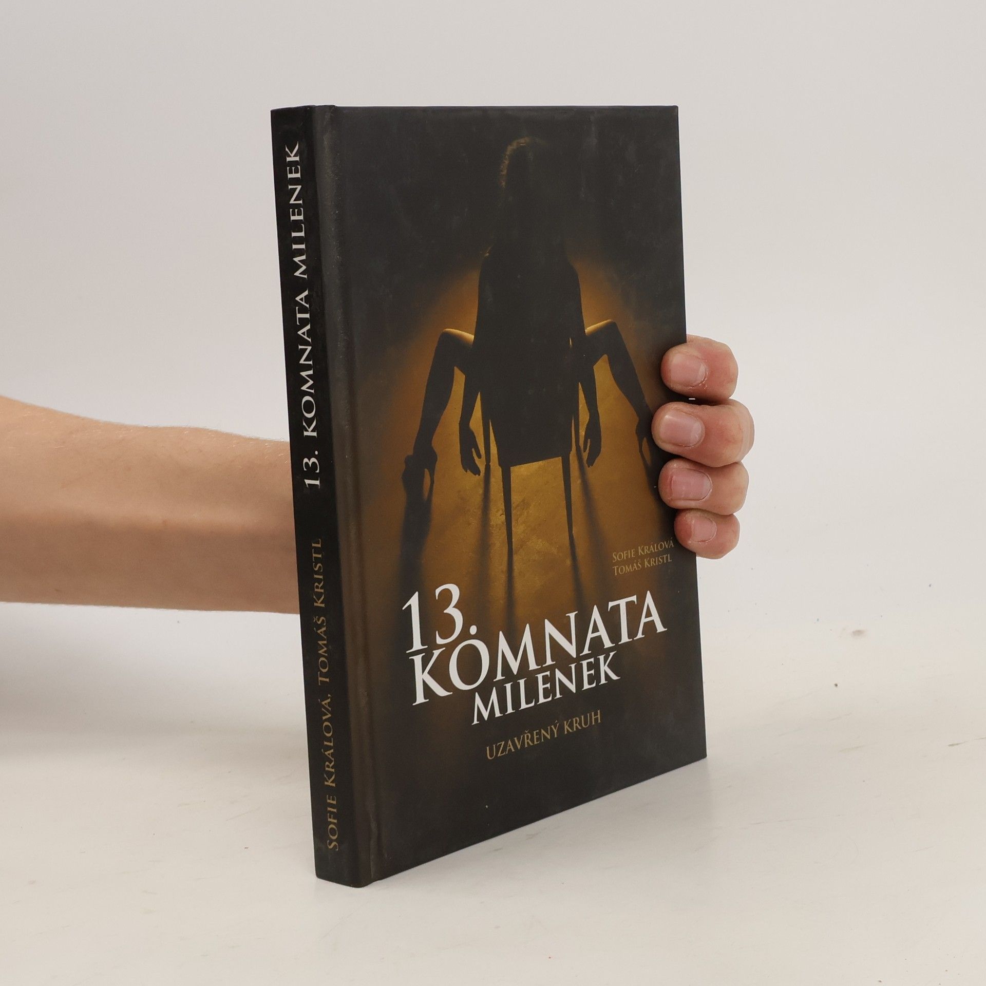 Tomáš Kristl 13. komnata milenek. Uzavřený kruh