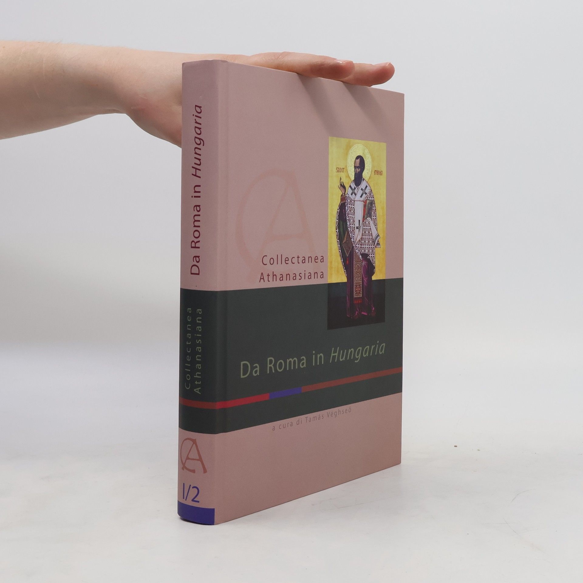 Autorenkollektiv Da Roma in Hungaria