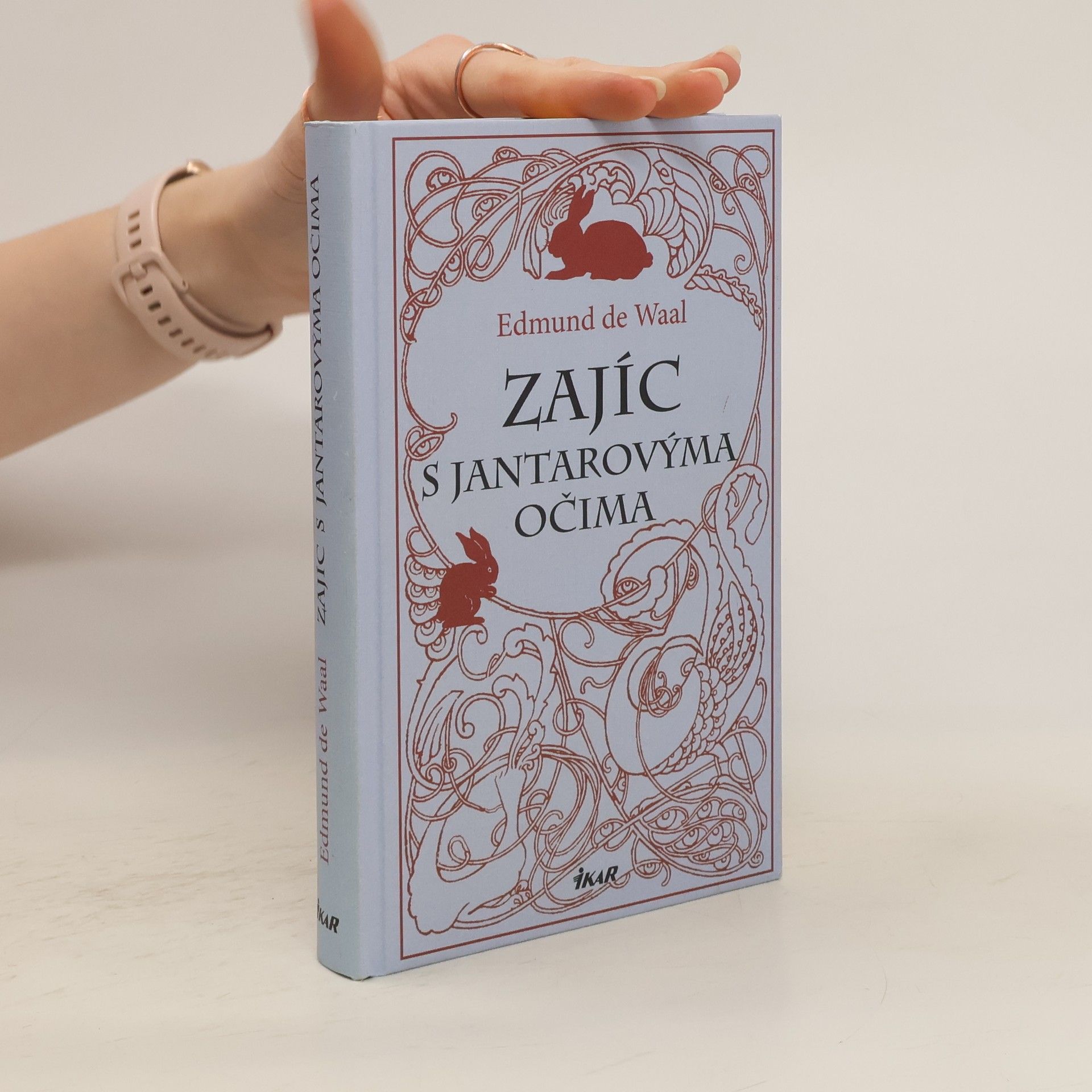Edmund de Waal Zajíc s jantarovýma očima