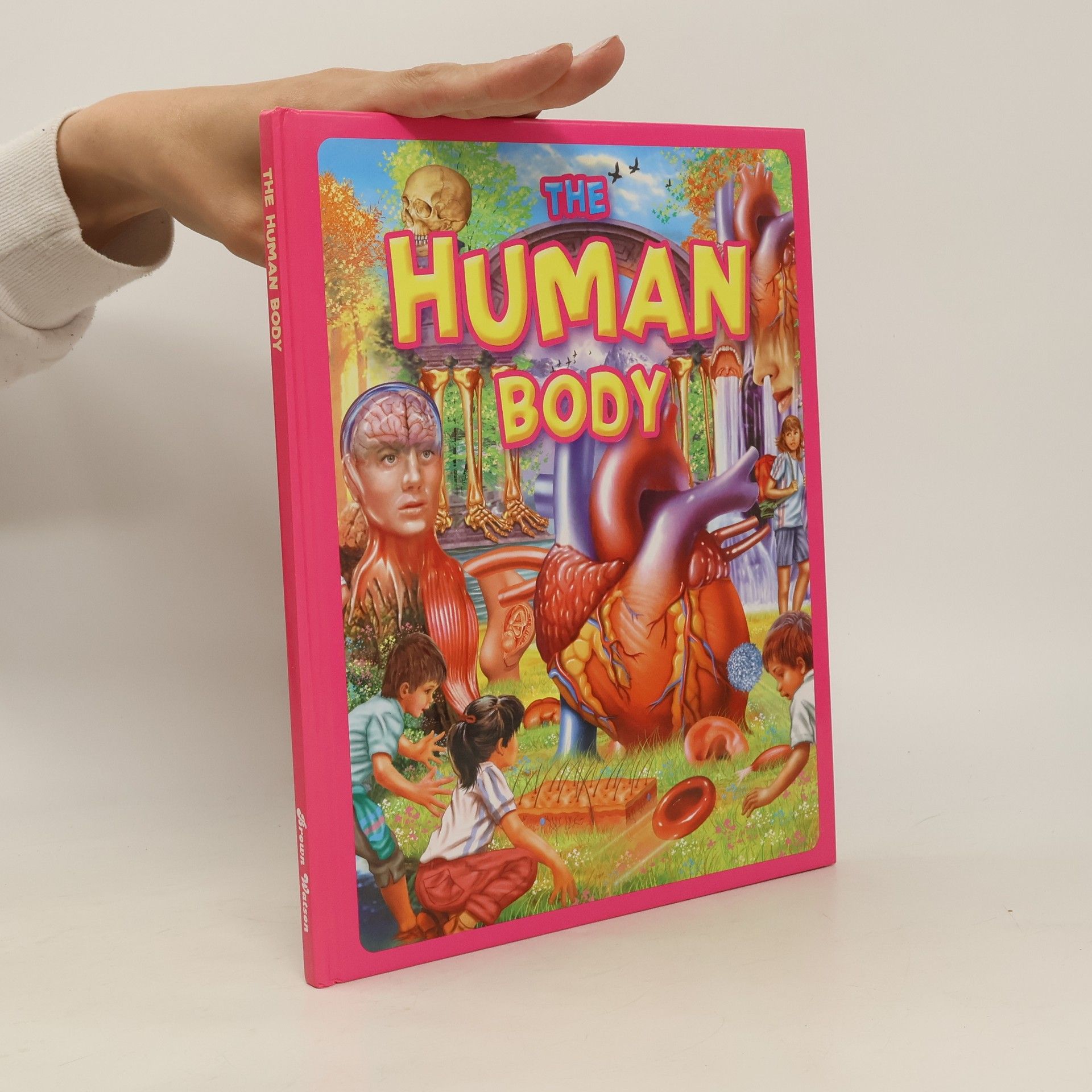 Autorenkollektiv Human Body