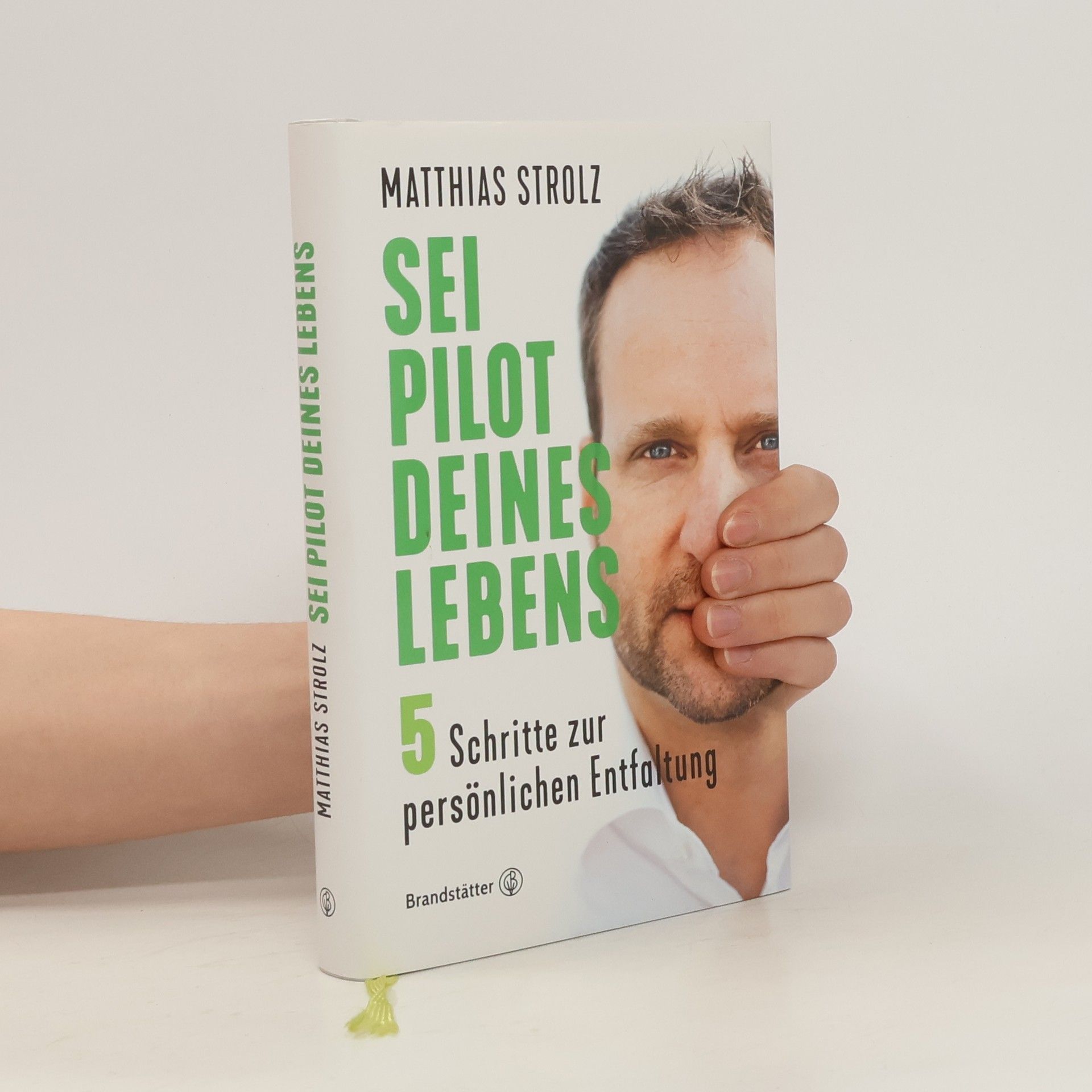 Matthias Strolz Sei Pilot deines Lebens