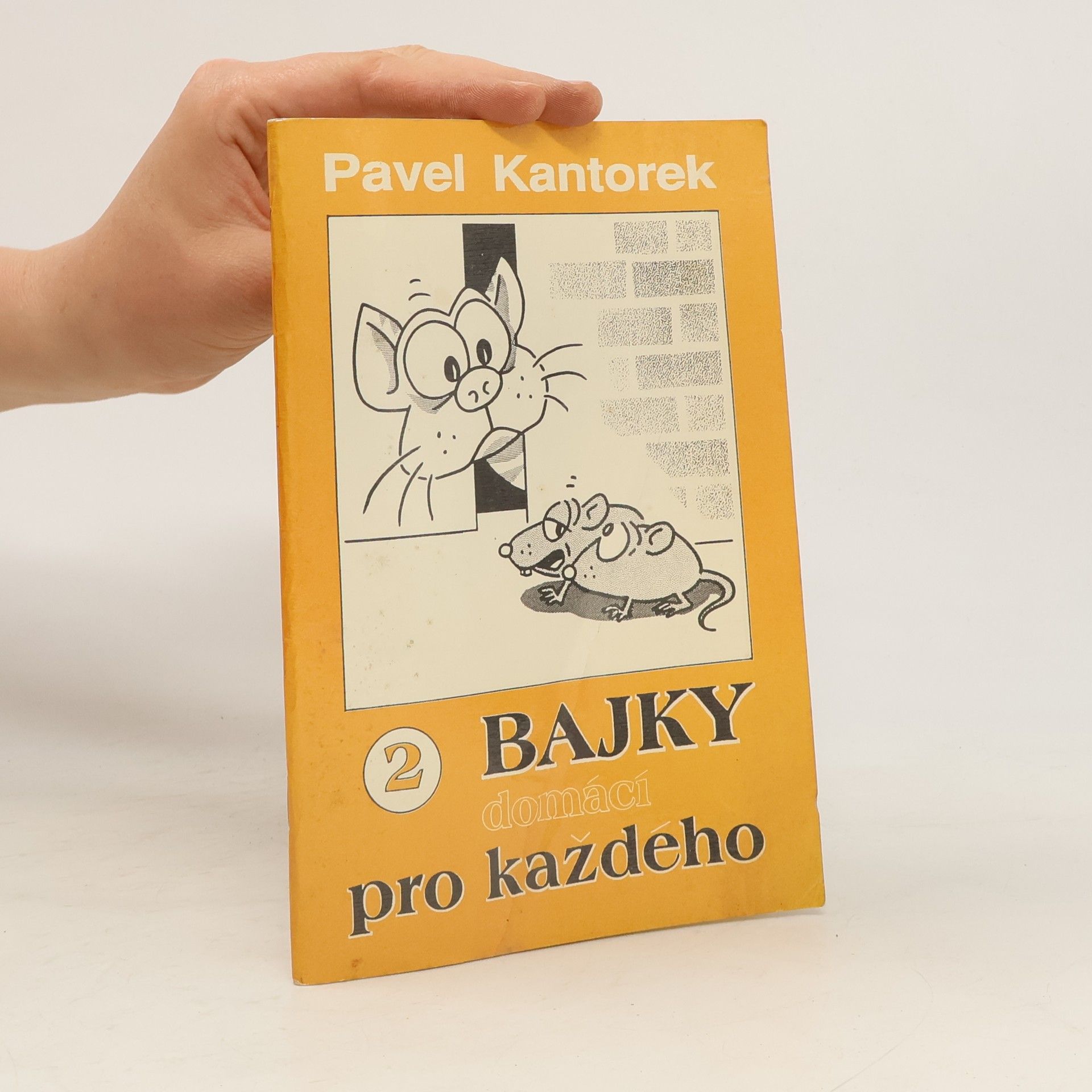 Pavel Kantorek Bajky domácí pro každého 2