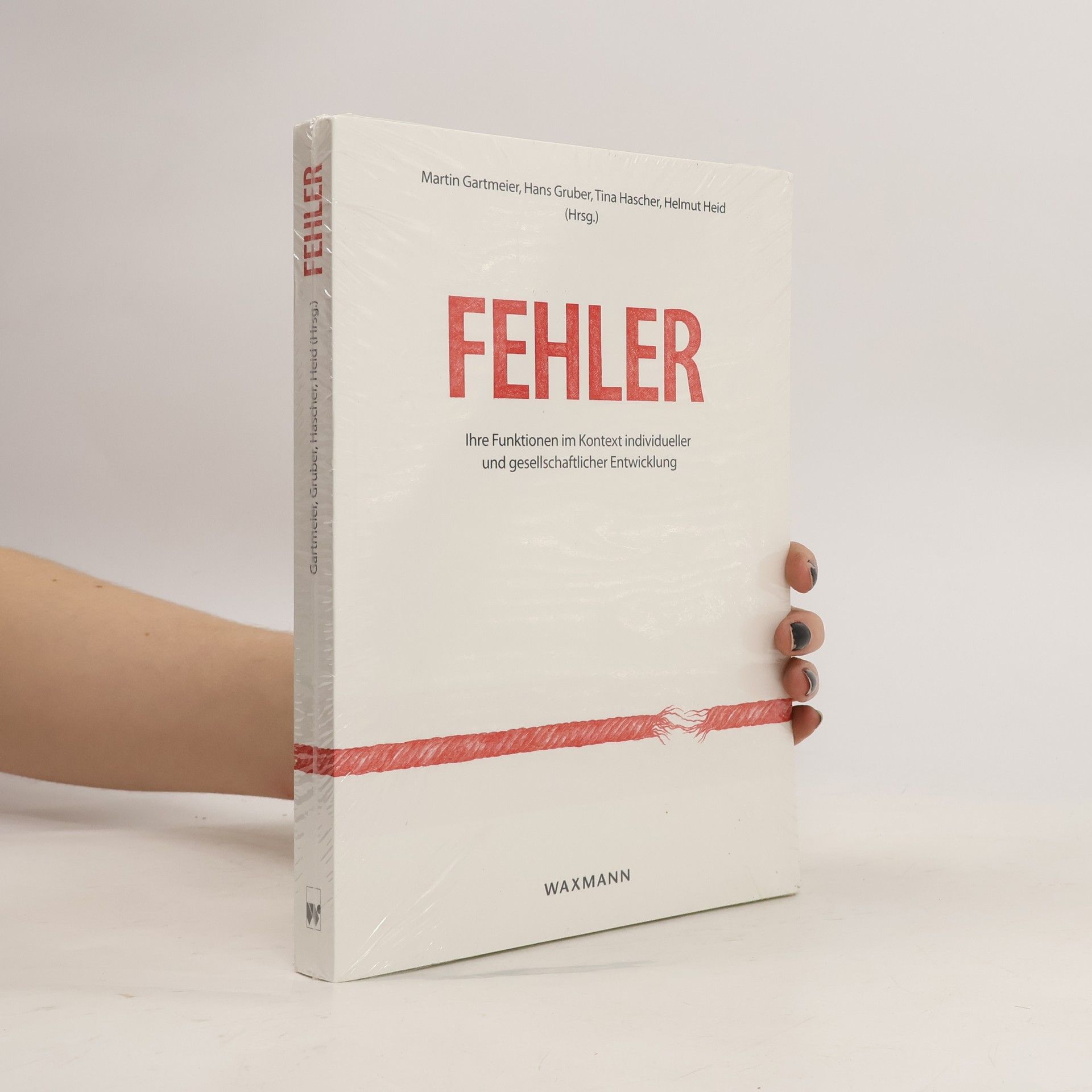 Martin Gartmeier Fehler