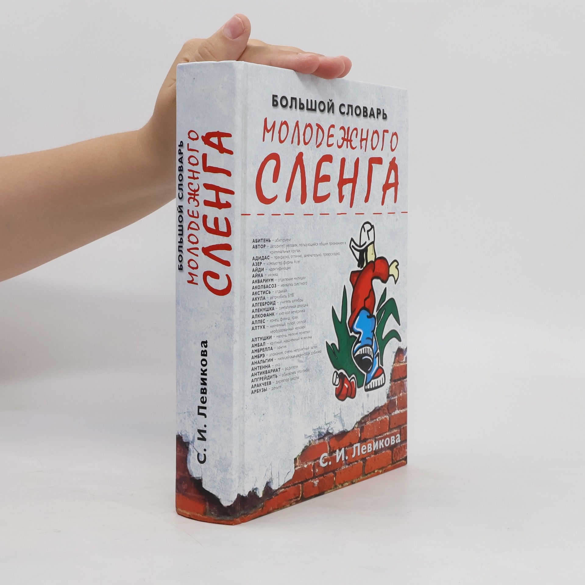 Светлана Игоревна Левикова Большой словарь молодежного сленга