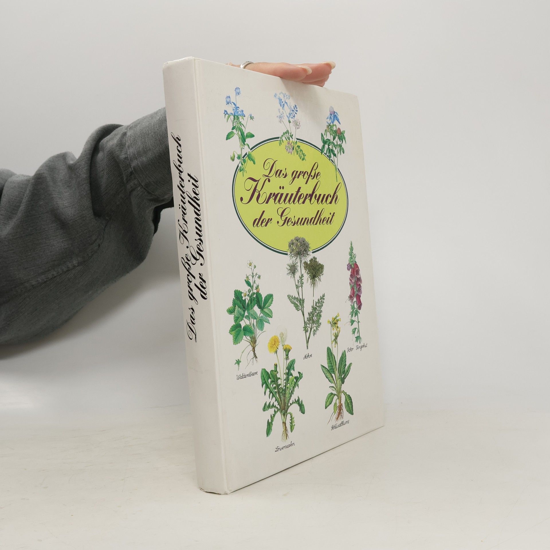 Hermann Lichtenstern Das große Kräuterbuch der Gesundheit
