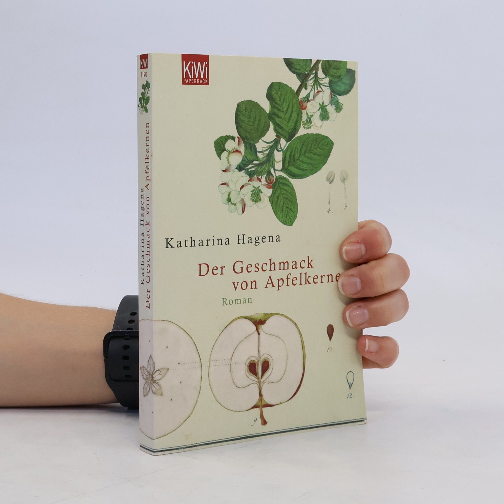 Katharina Hagena Der Geschmack von Apfelkernen