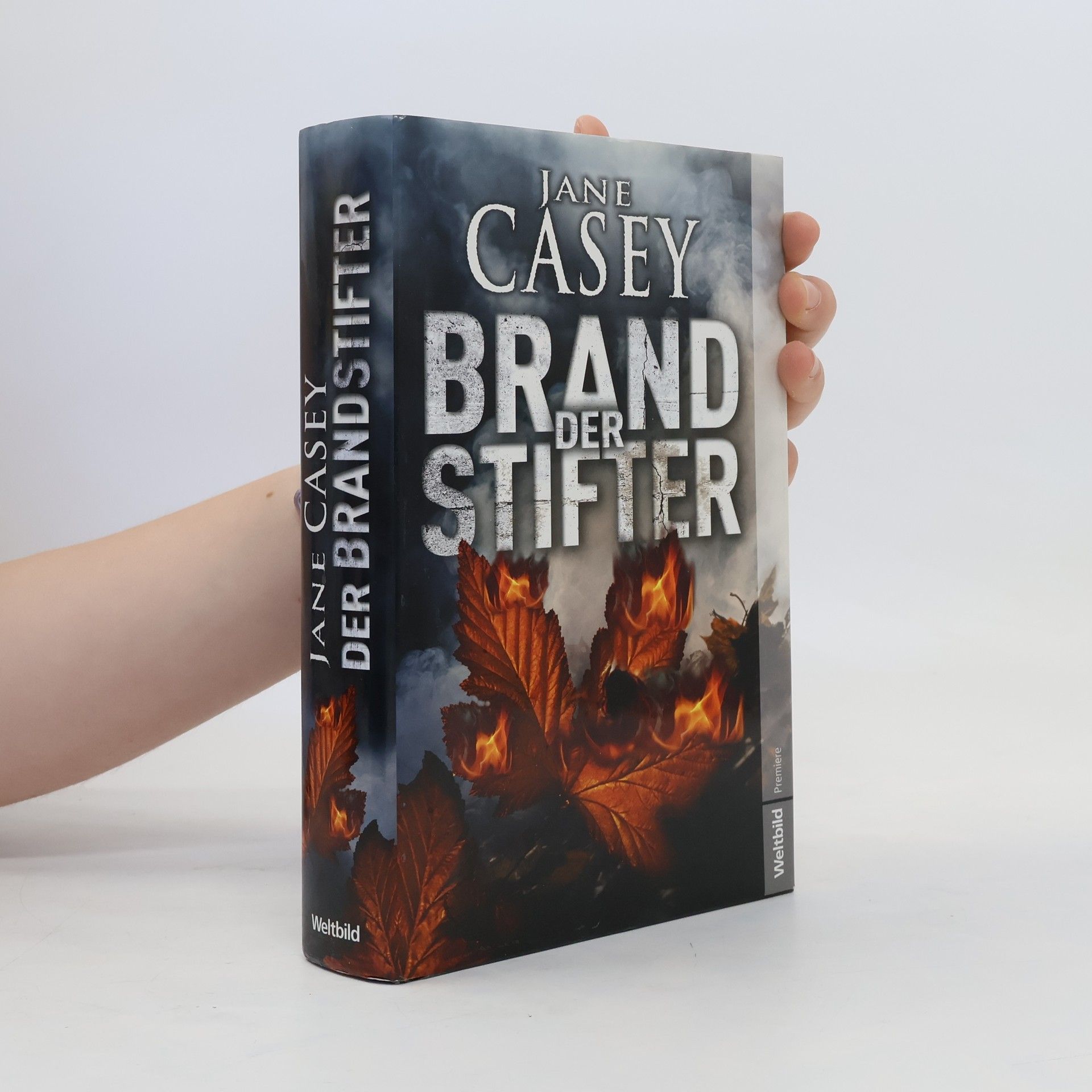 Jane Casey Der Brandstifter