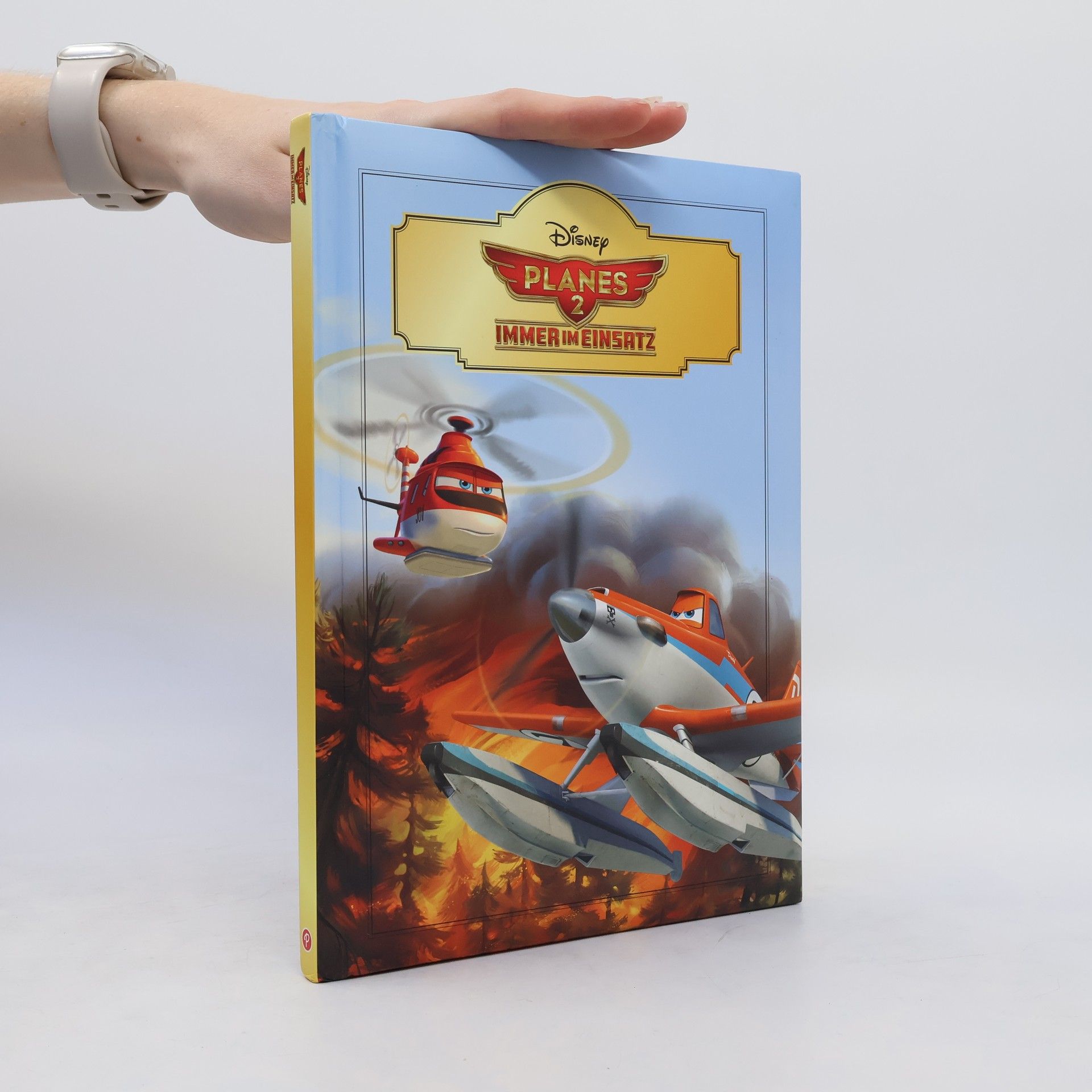 kolektiv Planes 2. Immner im Einsatz