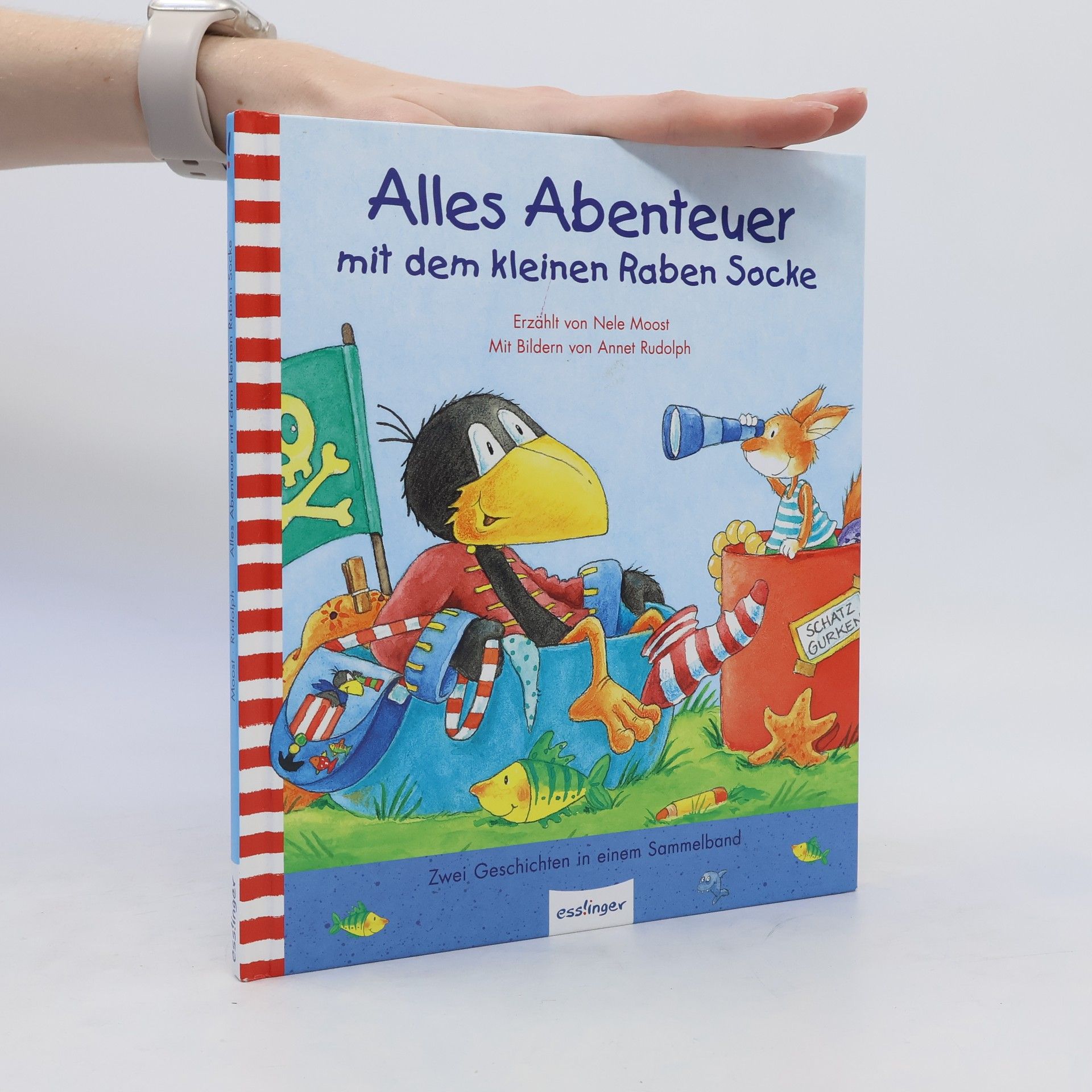 Nele Moost Alles Abenteuer mit dem kleinen Raben Socke