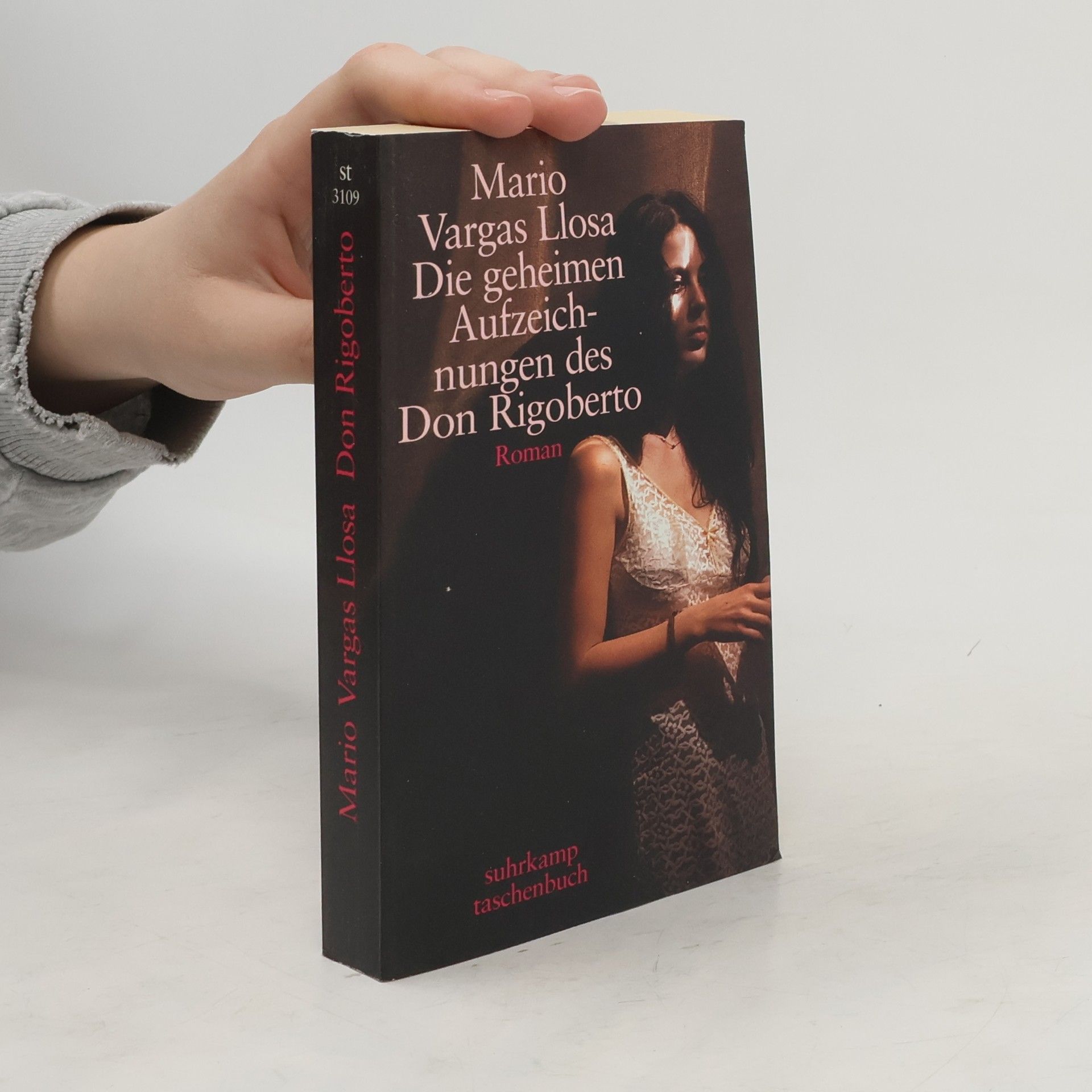Mario Vargas Llosa Die geheimen Aufzeichnungen des Don Rigoberto