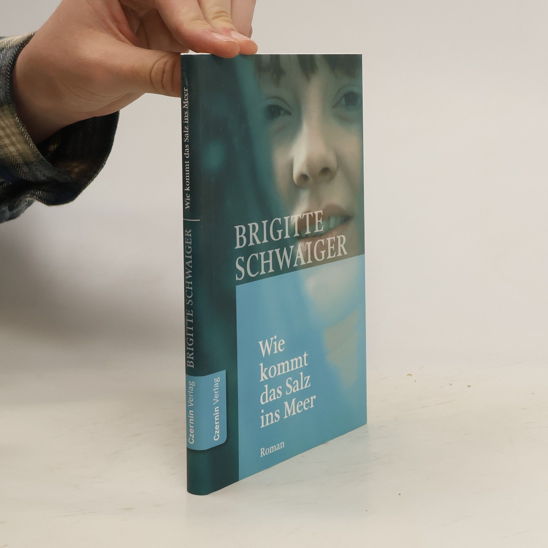 Brigitte Schwaiger Wie kommt das Salz ins Meer