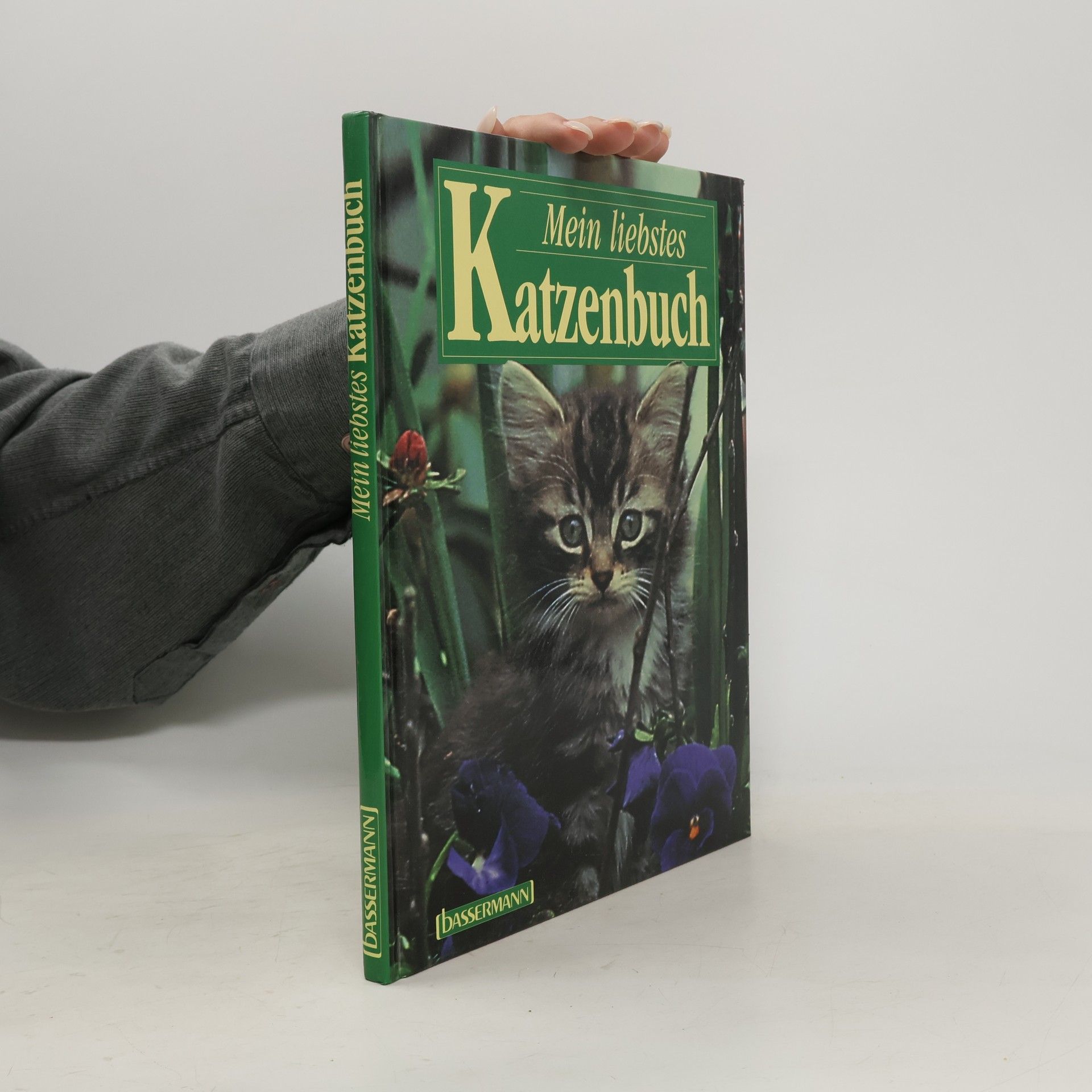 Warren Eckstein Mein liebstes Katzenbuch