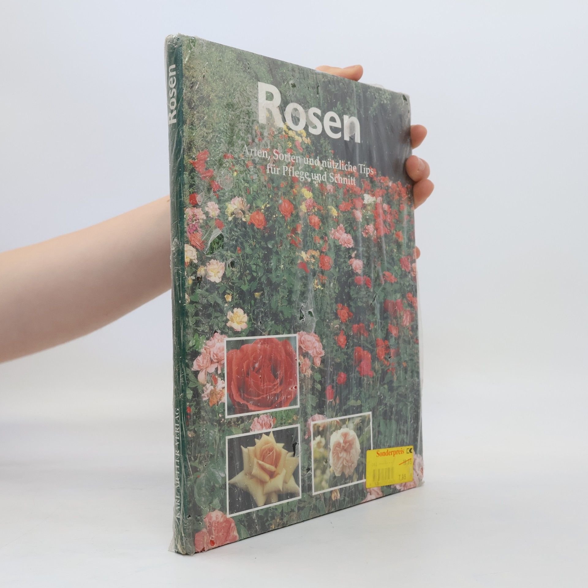Hanneke van Dijk Rosen