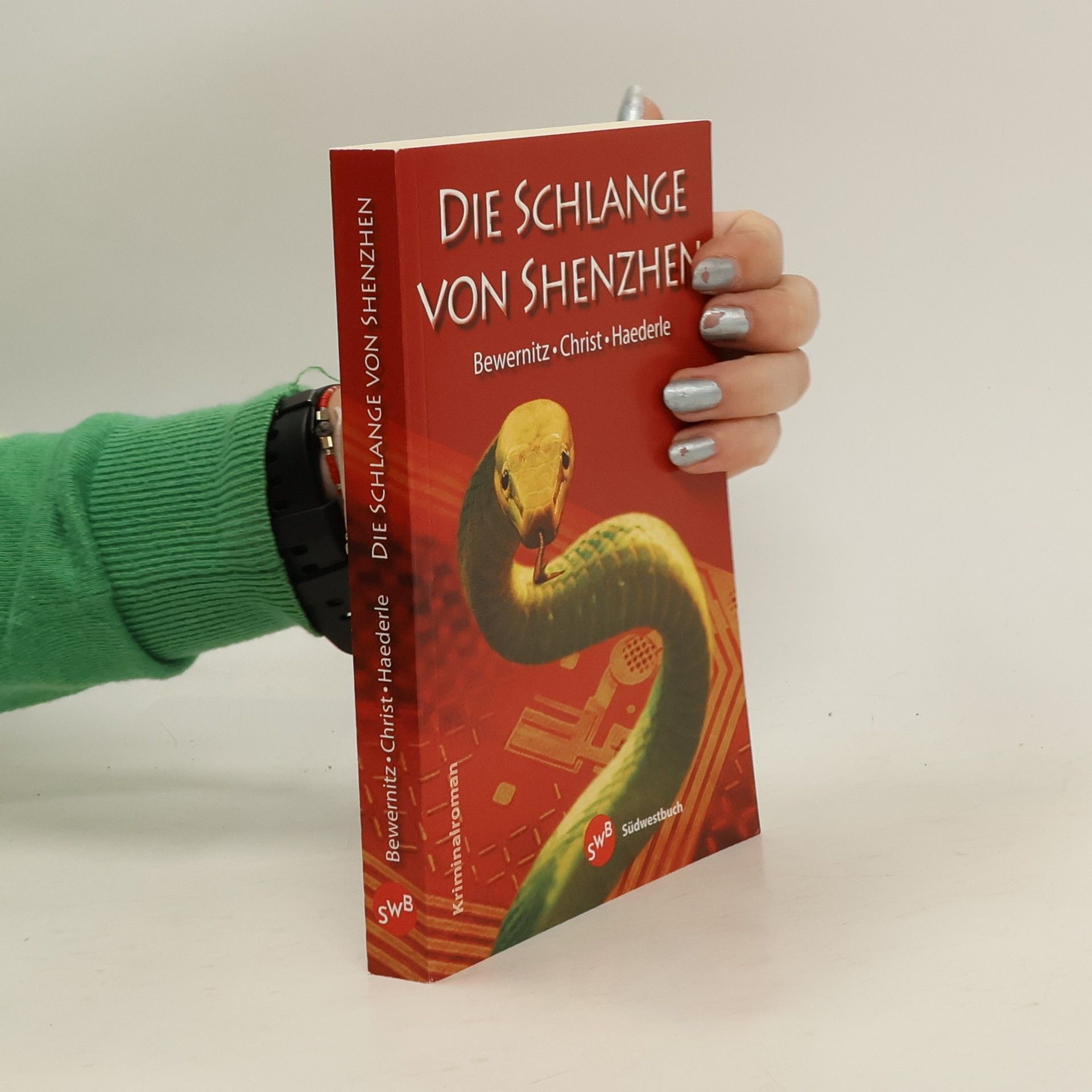 Doris Bewernitz Die Schlange von Shenzhen