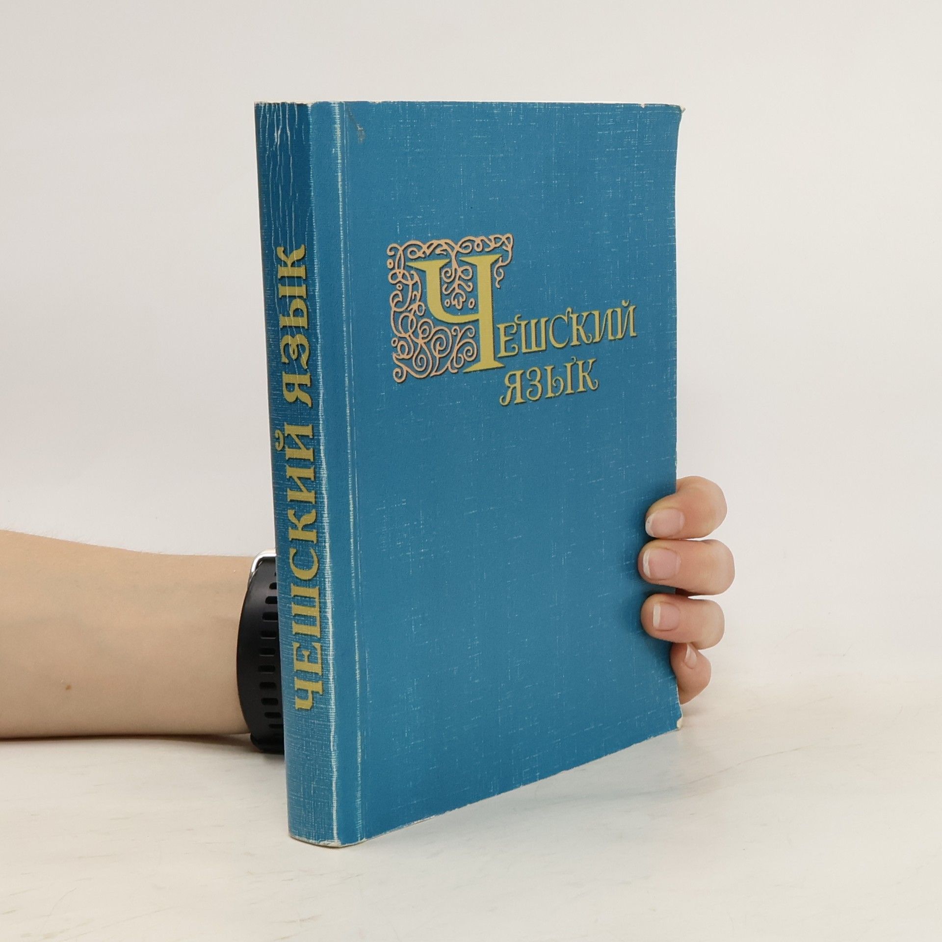 Чешский язык