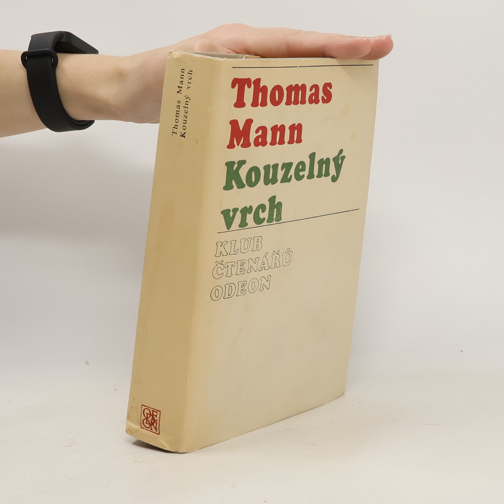 Thomas Mann Kouzelný vrch