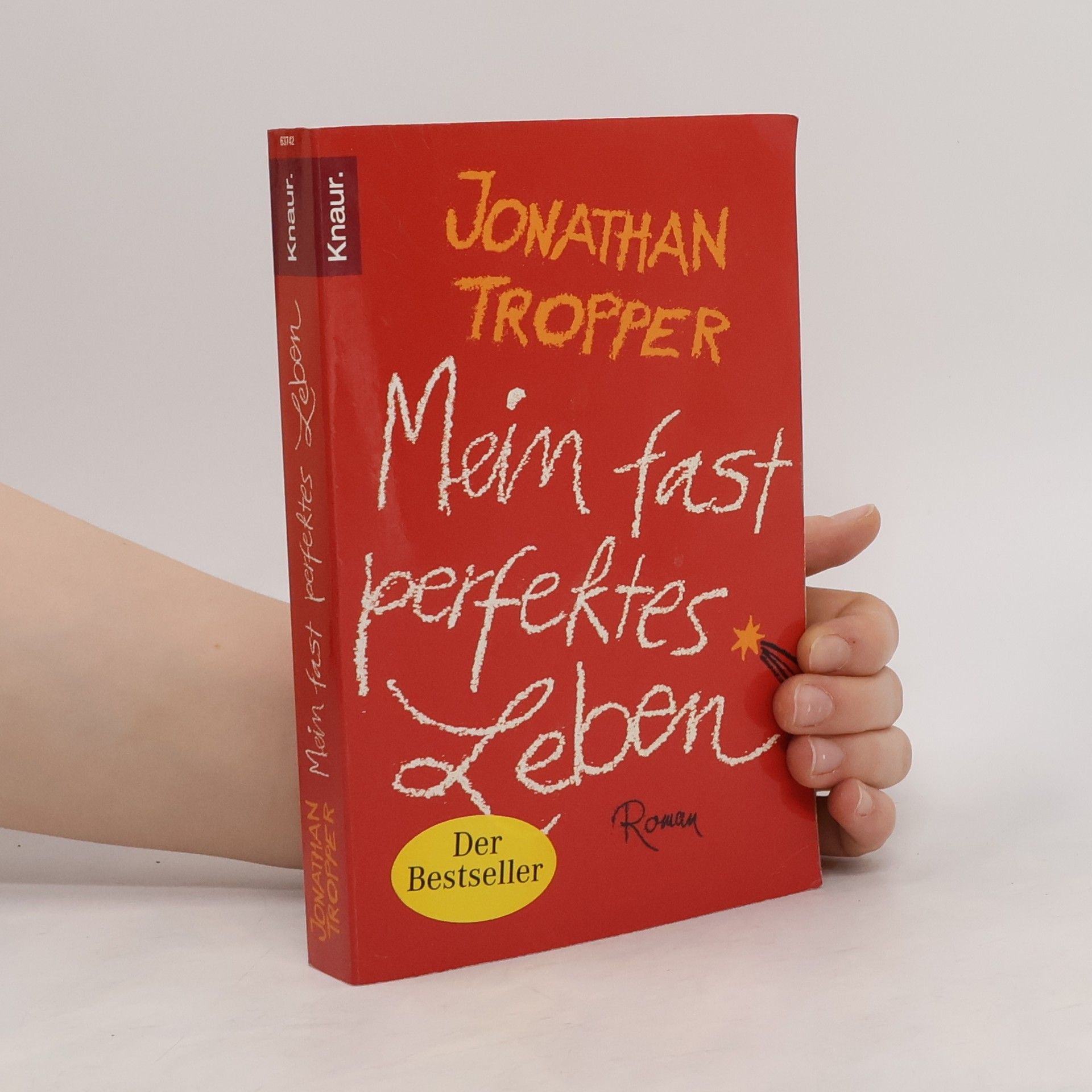 Jonathan Tropper Mein fast perfektes Leben