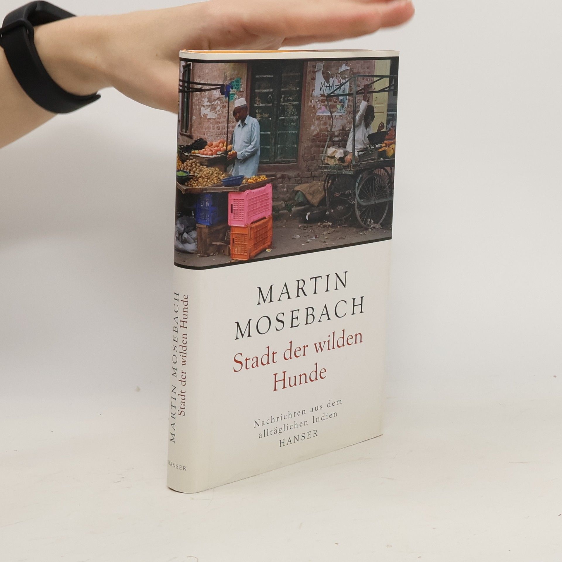 Martin Mosebach Stadt der wilden Hunde
