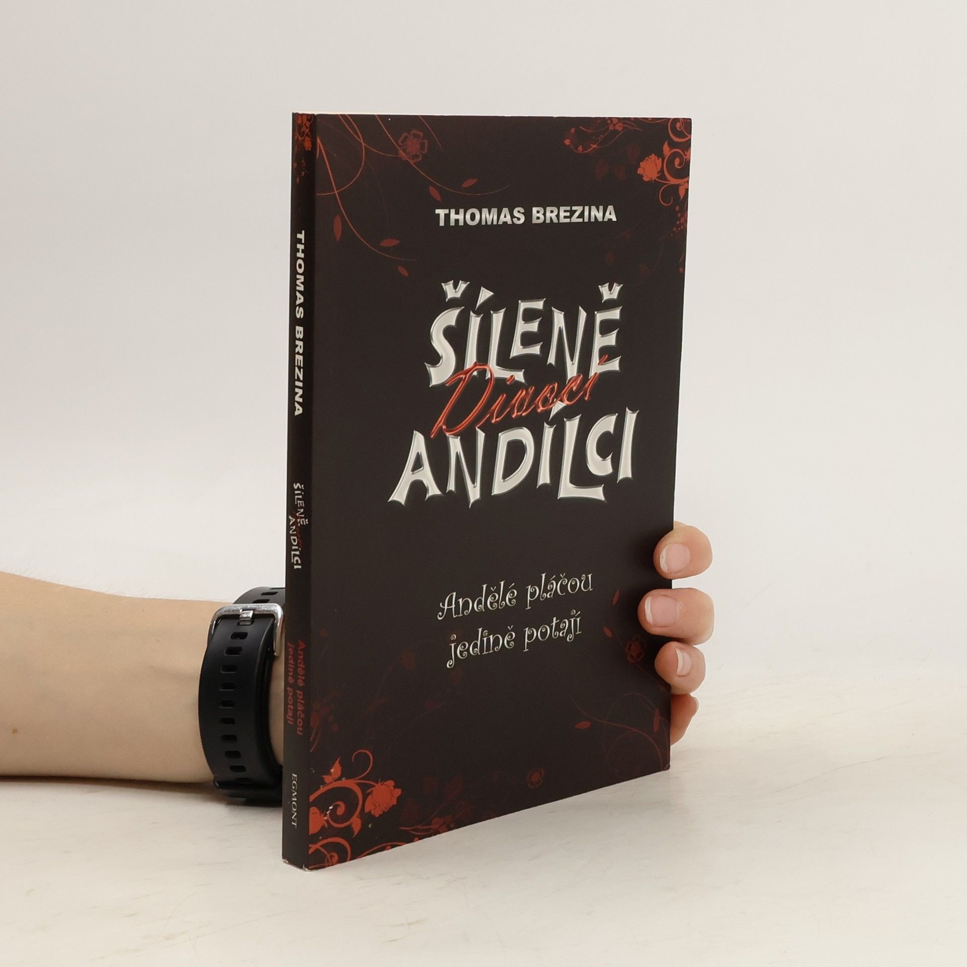 Thomas Brezina Andělé pláčou jedině potají