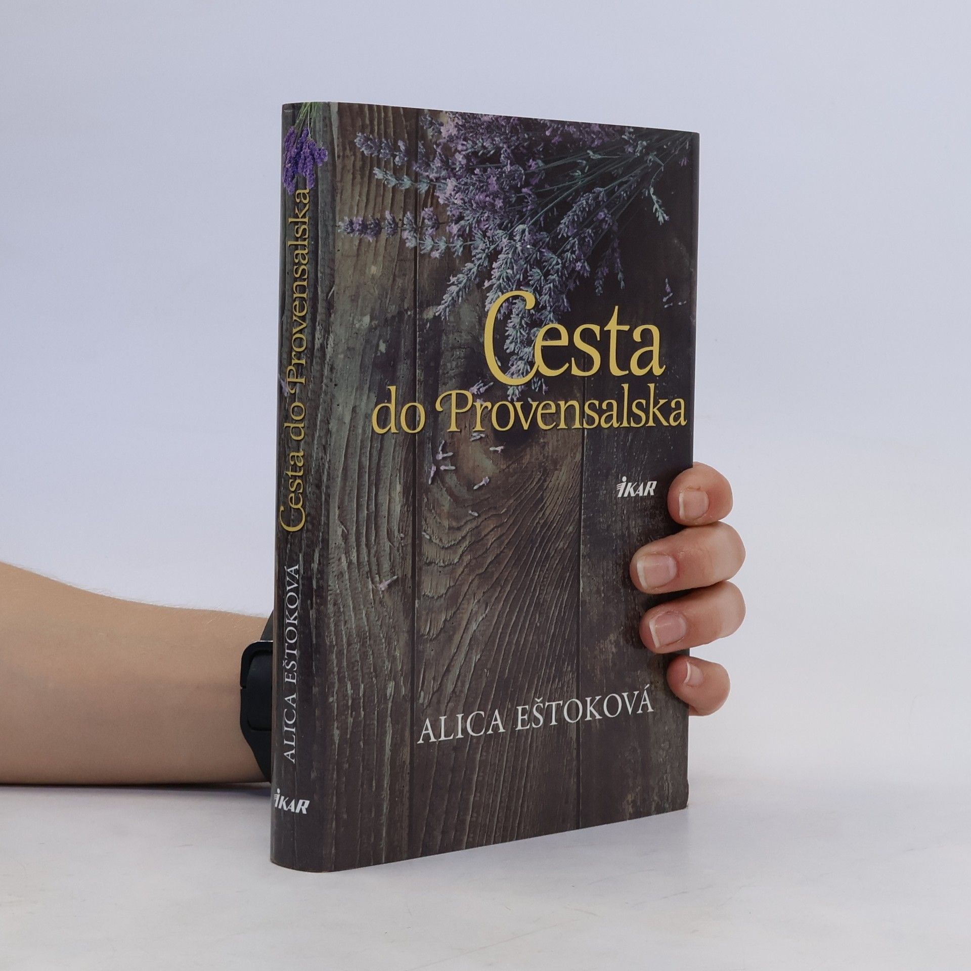 Alica Eštoková Cesta do Provensalska