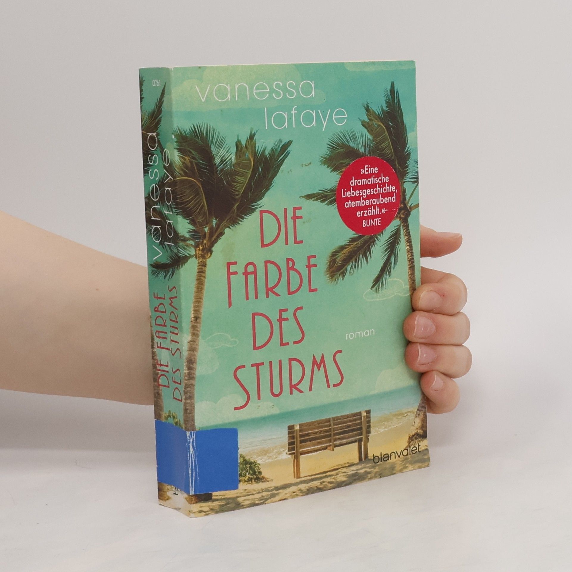 Vanessa Lafaye Die Farbe des Sturms