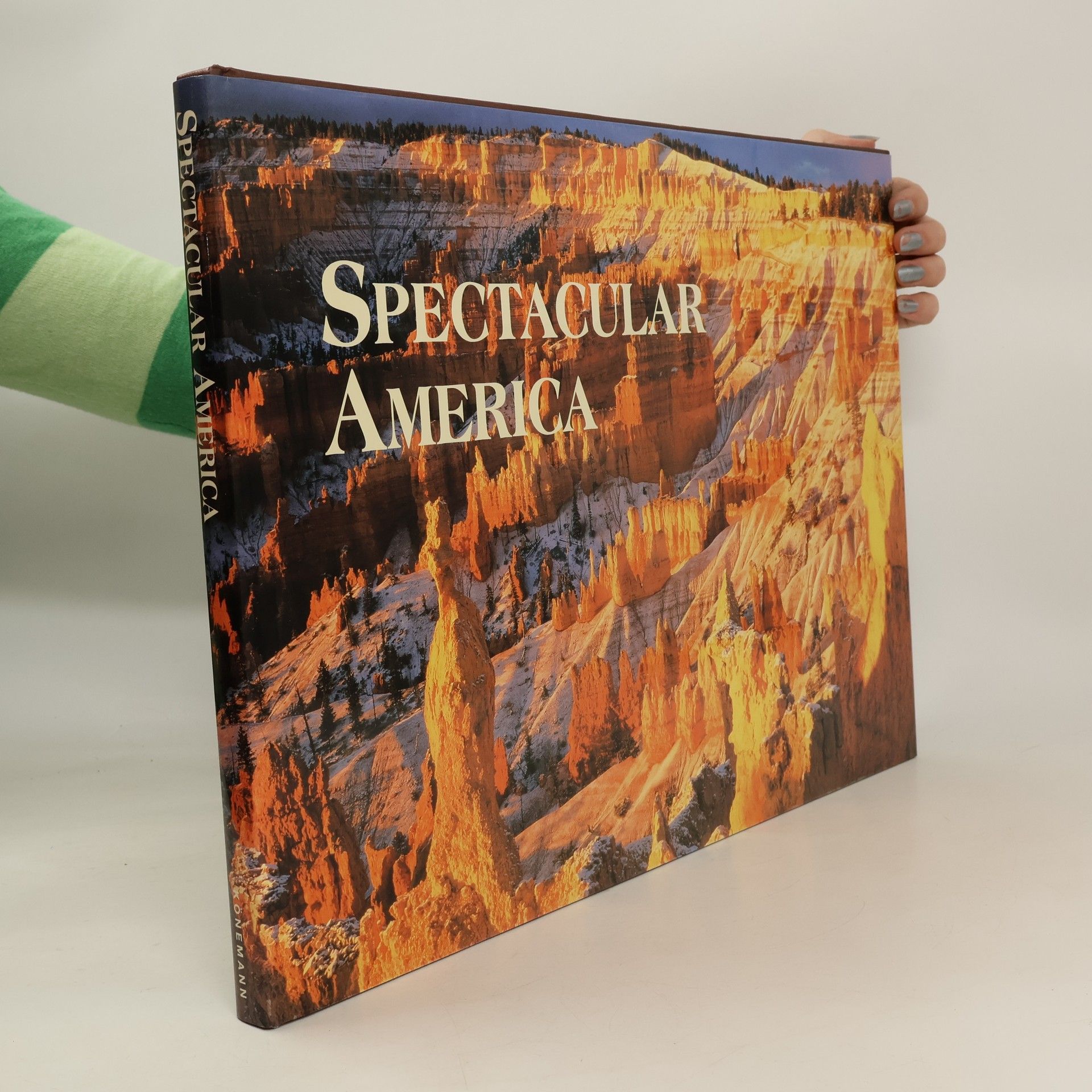 Dana Levy Spectacular America