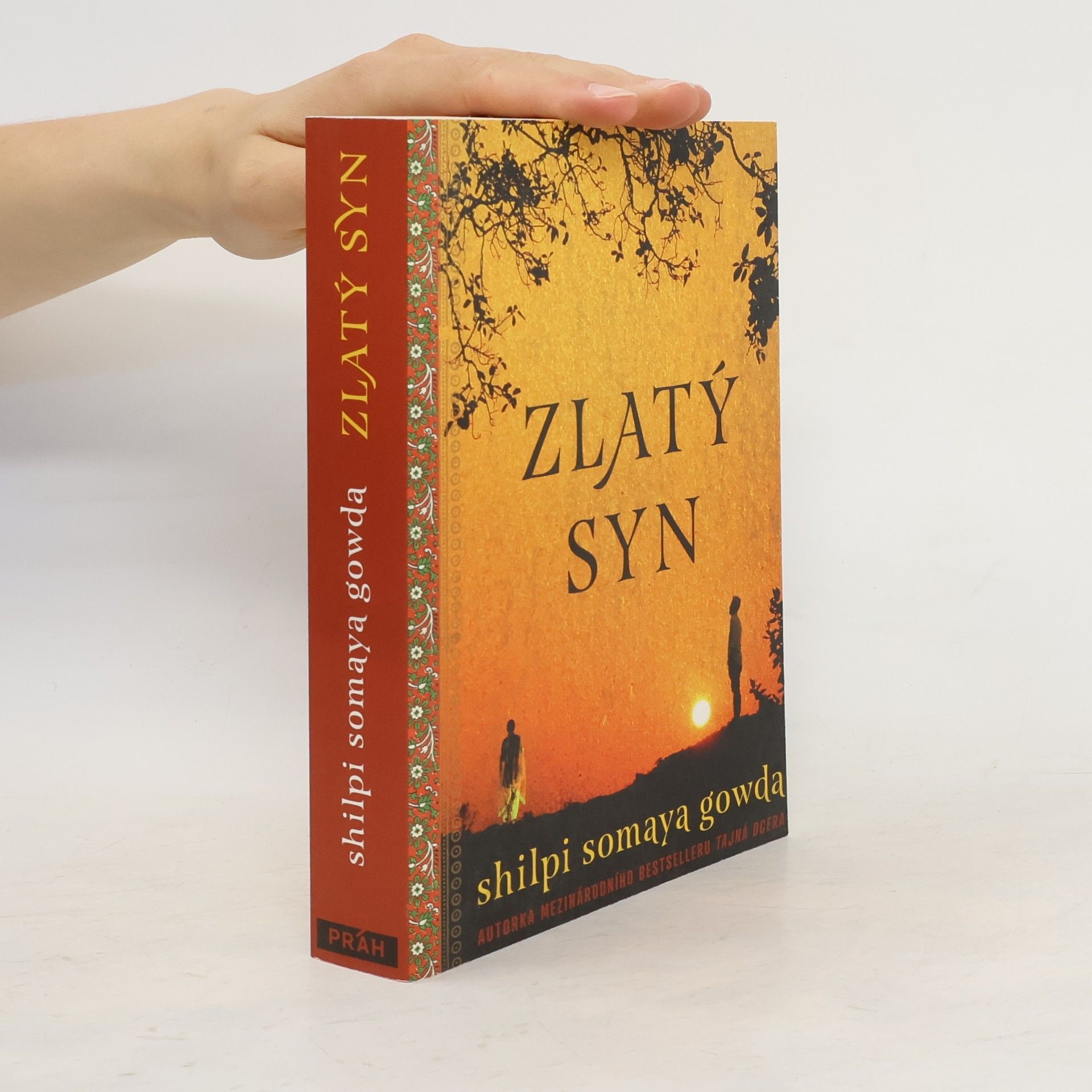 Shilpi Somaya Gowda Zlatý syn