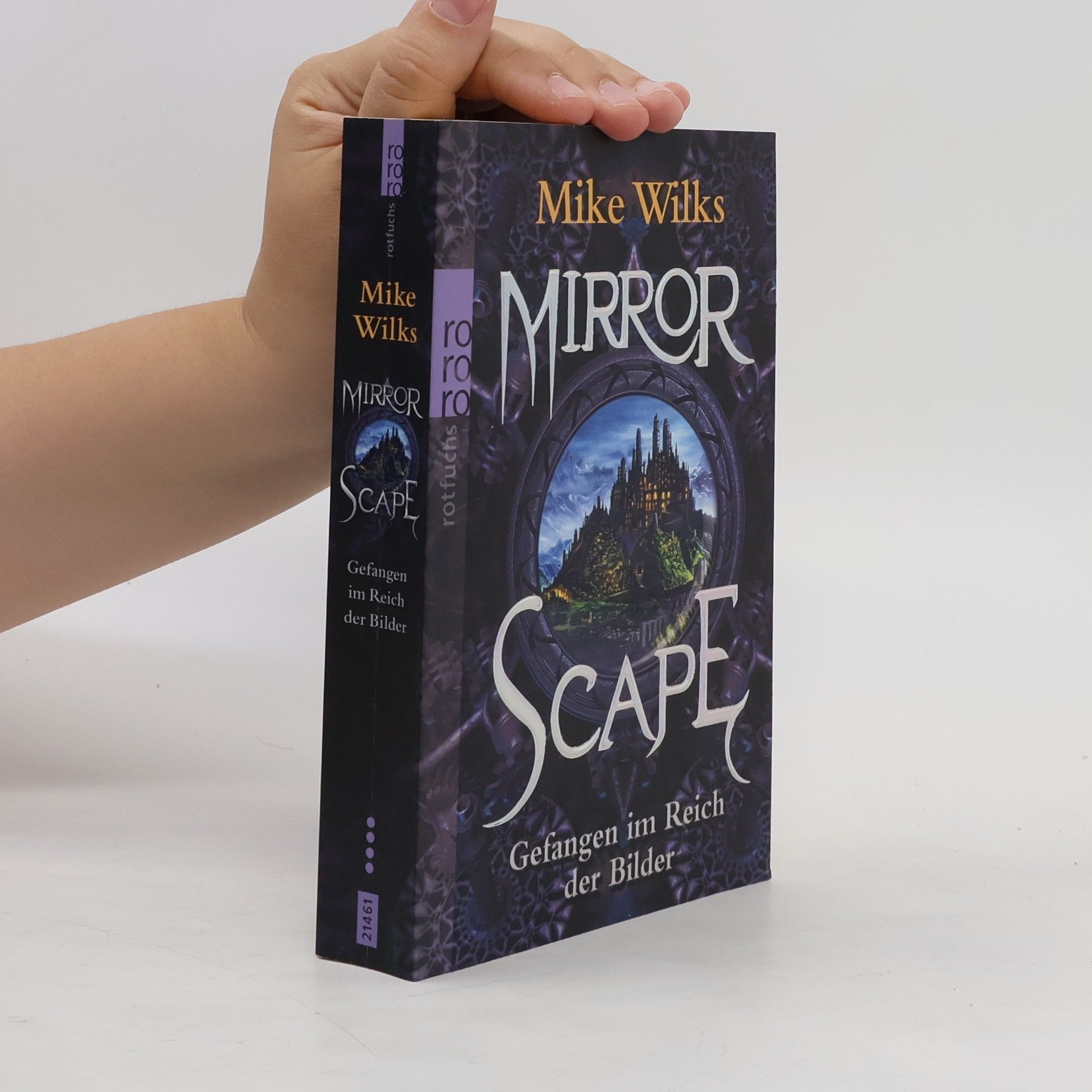 Mike Wilks Mirrorscape