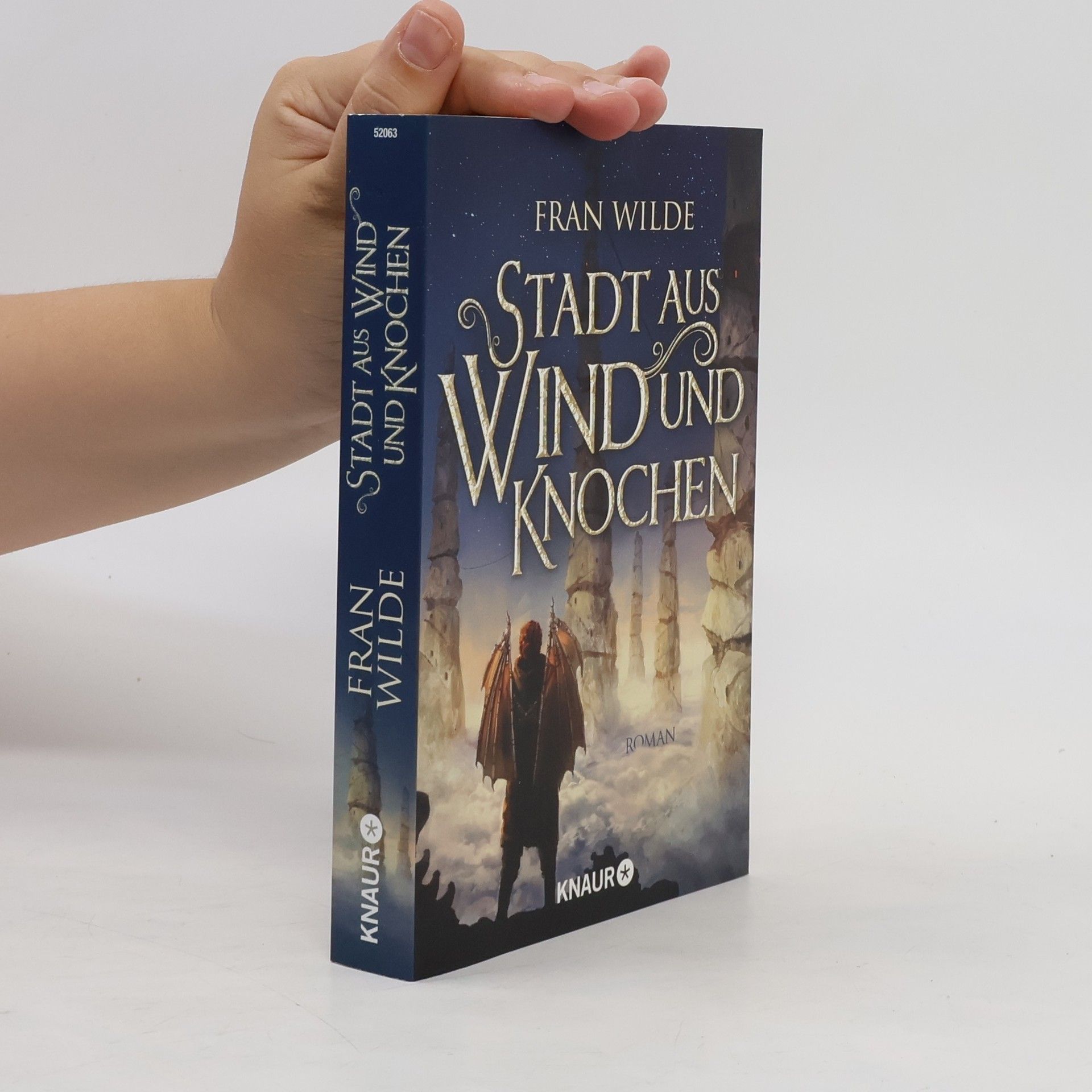 Fran Wilde Stadt aus Wind und Knochen