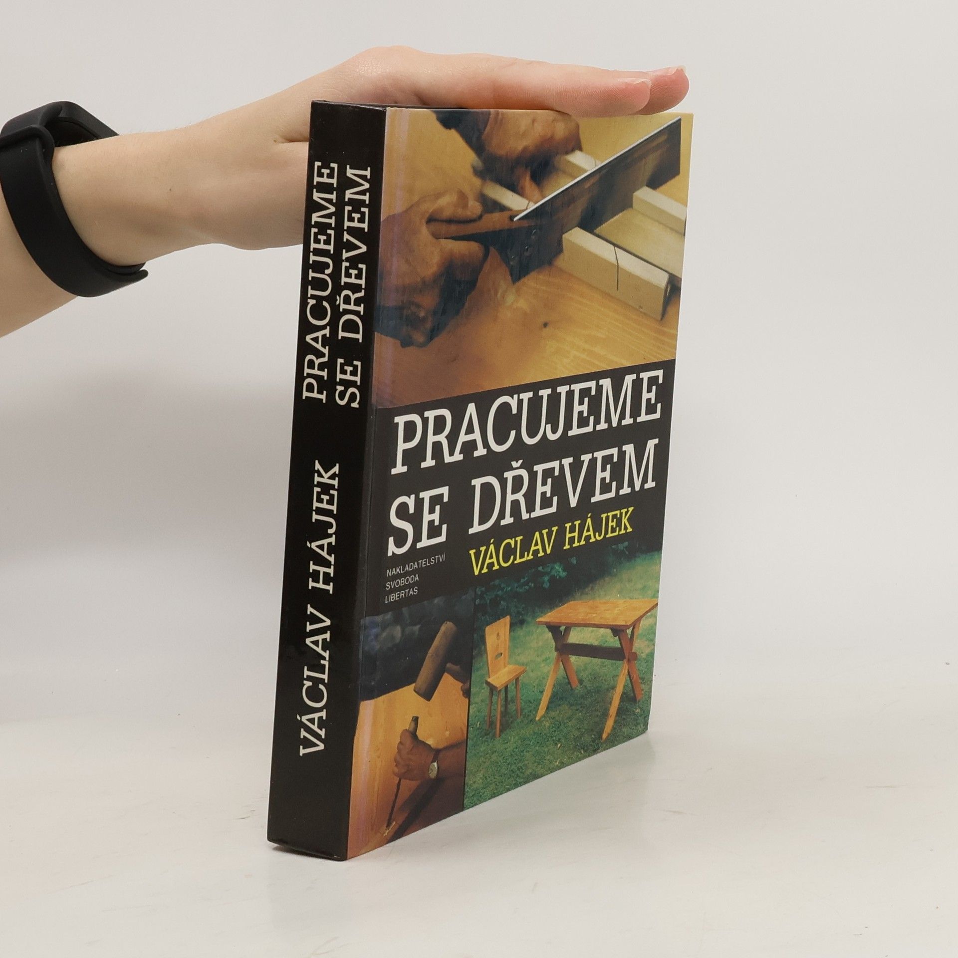 Václav Hájek Pracujeme se dřevem