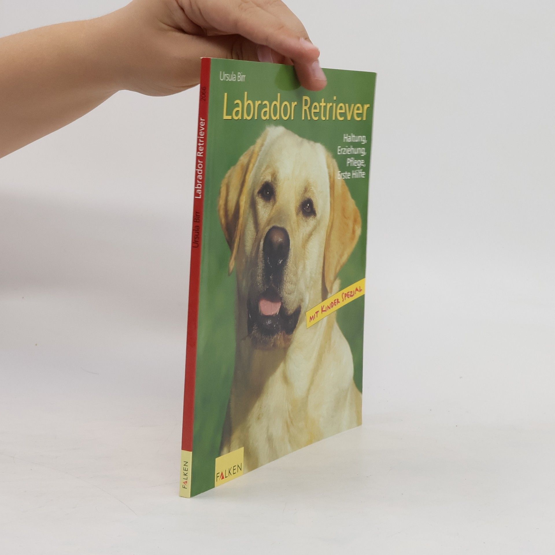 Ursula Birr Labrador Retriever